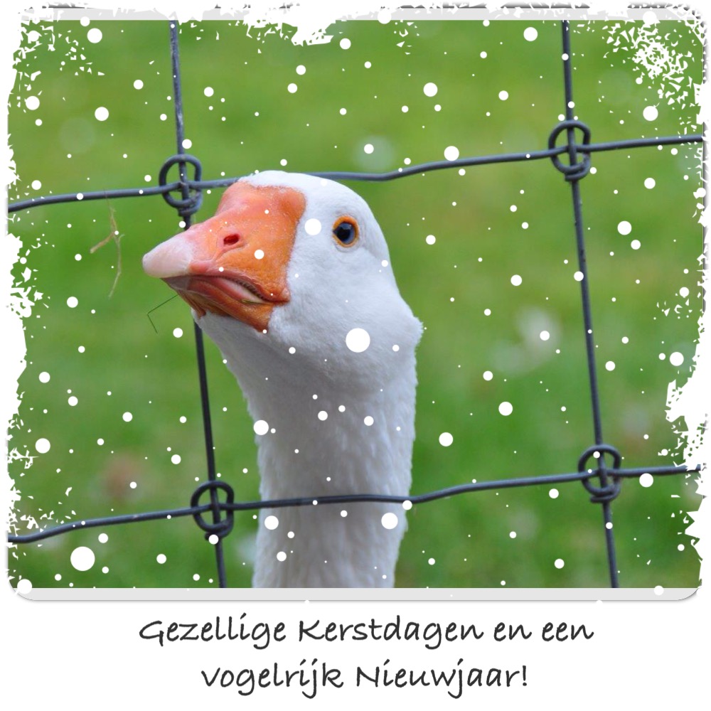 Kerstwens
