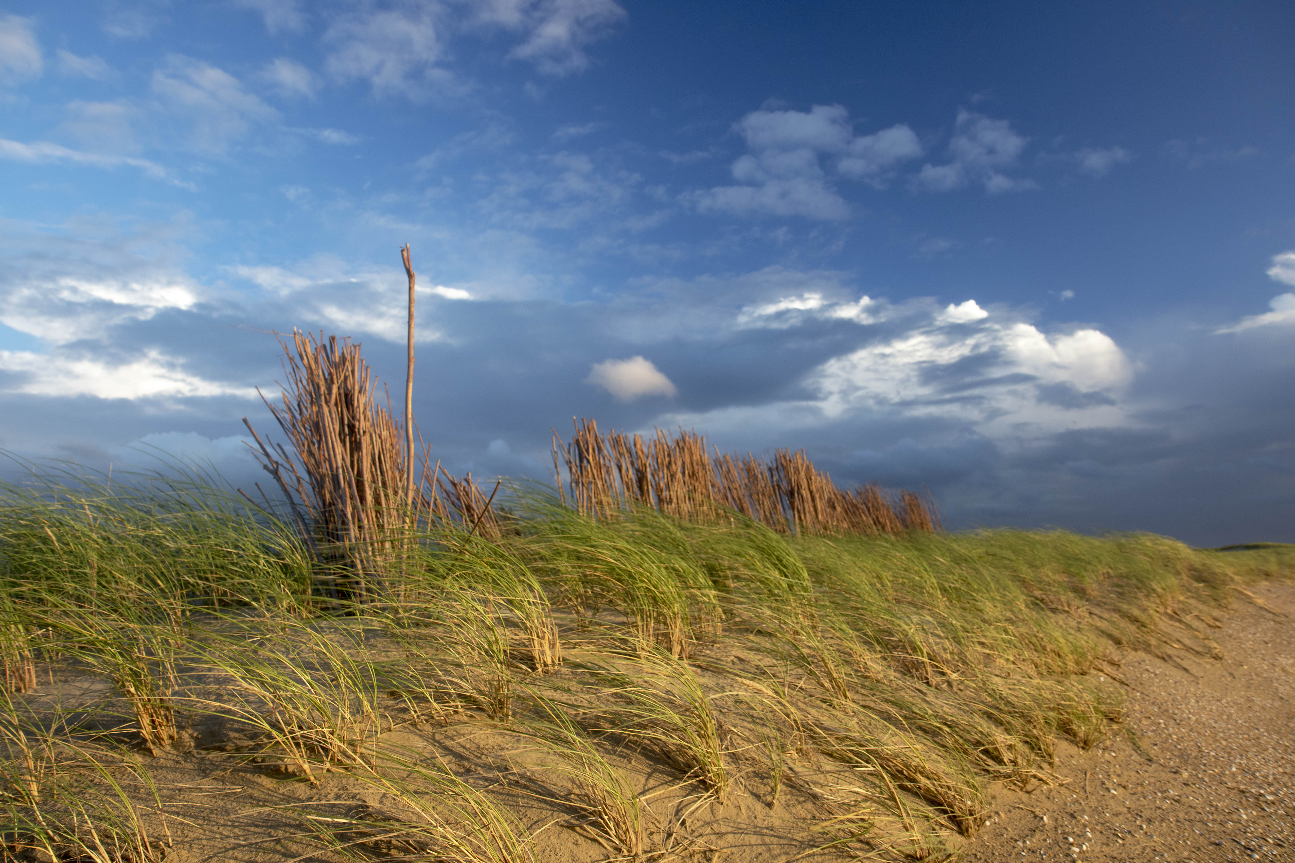 windt en duinen