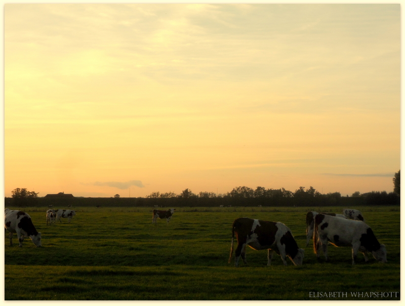 warme zomer avond