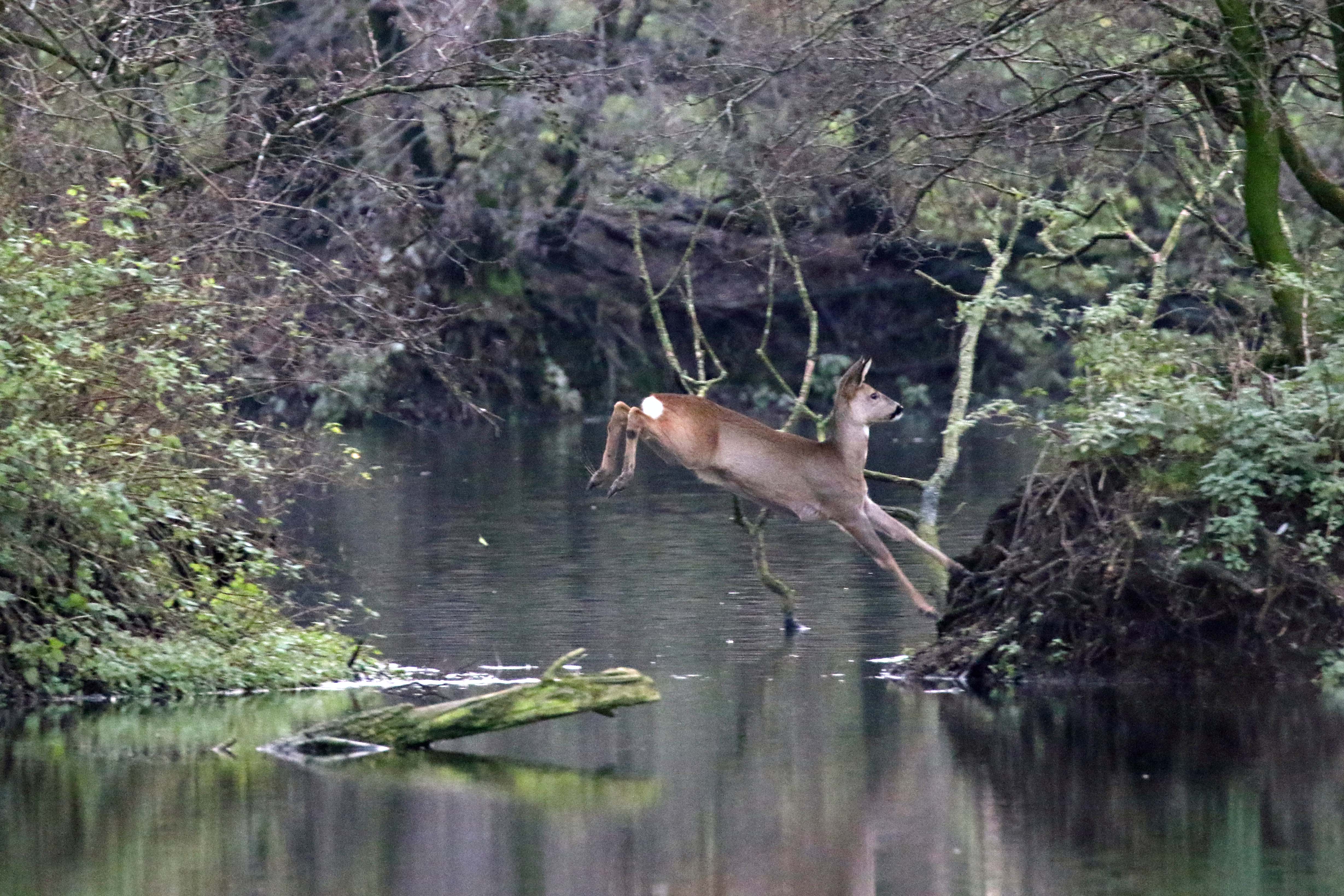 Net geen natte voeten
