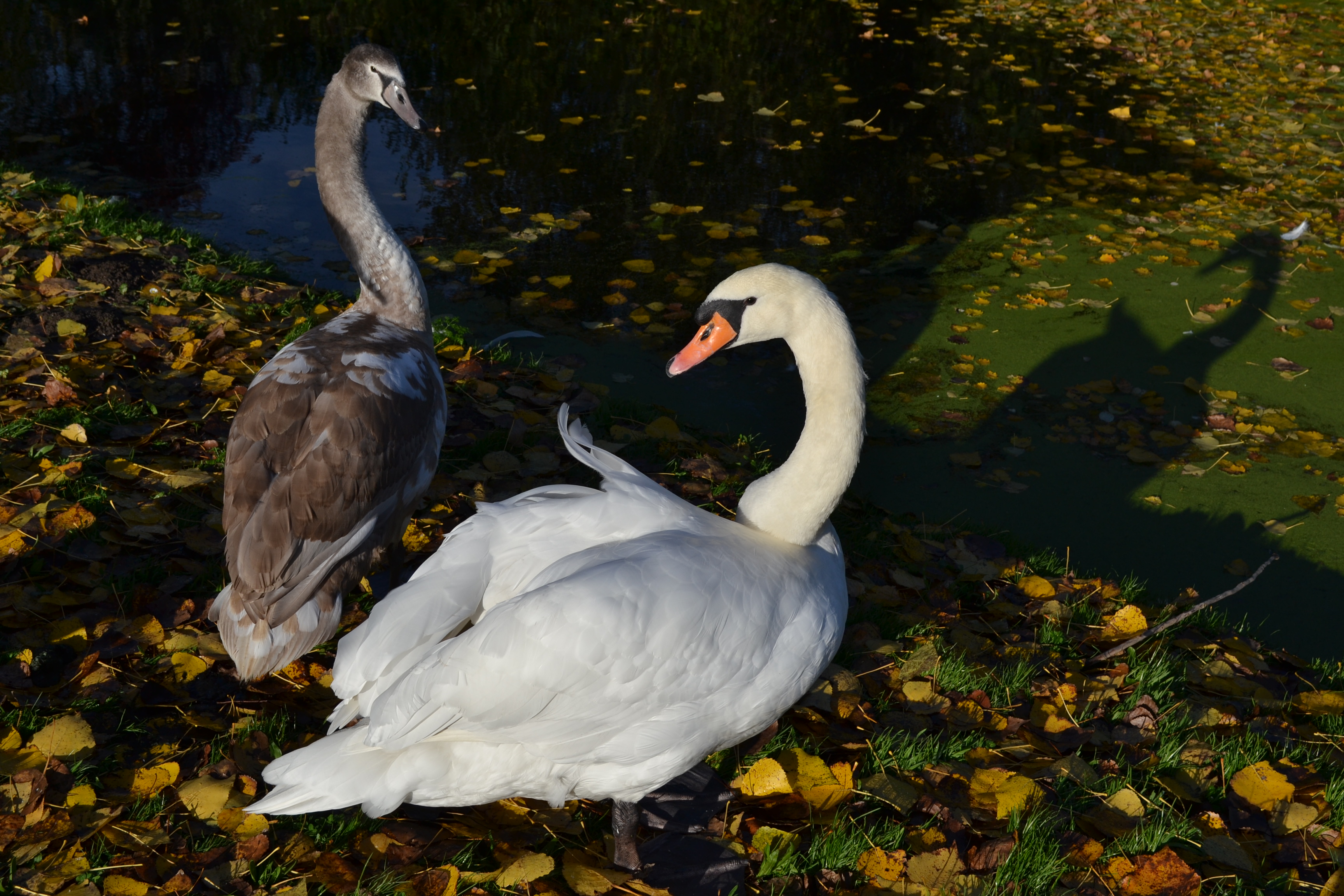 lekker met mijn ma....