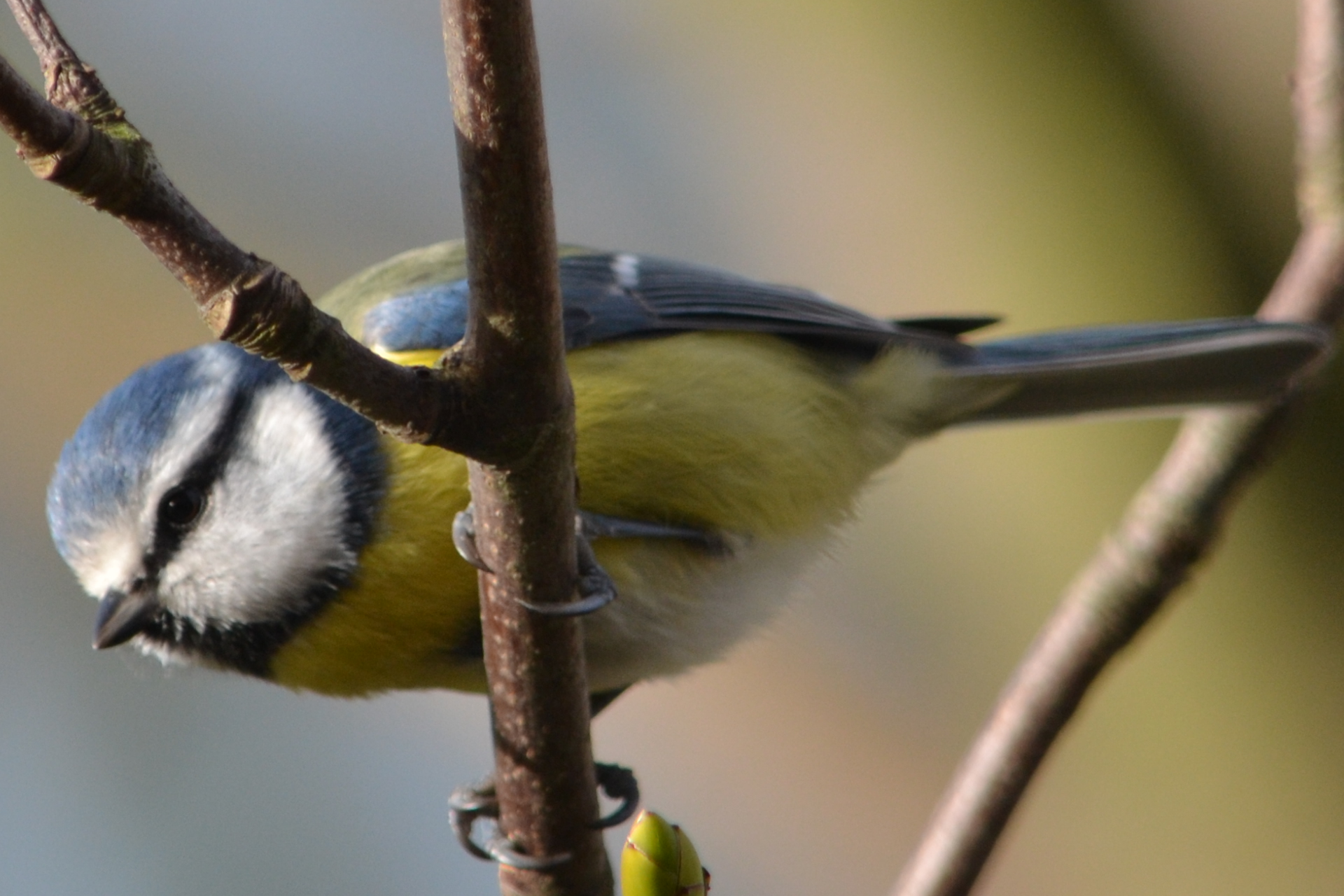 jejtje hoe gek de moderne wereld is...