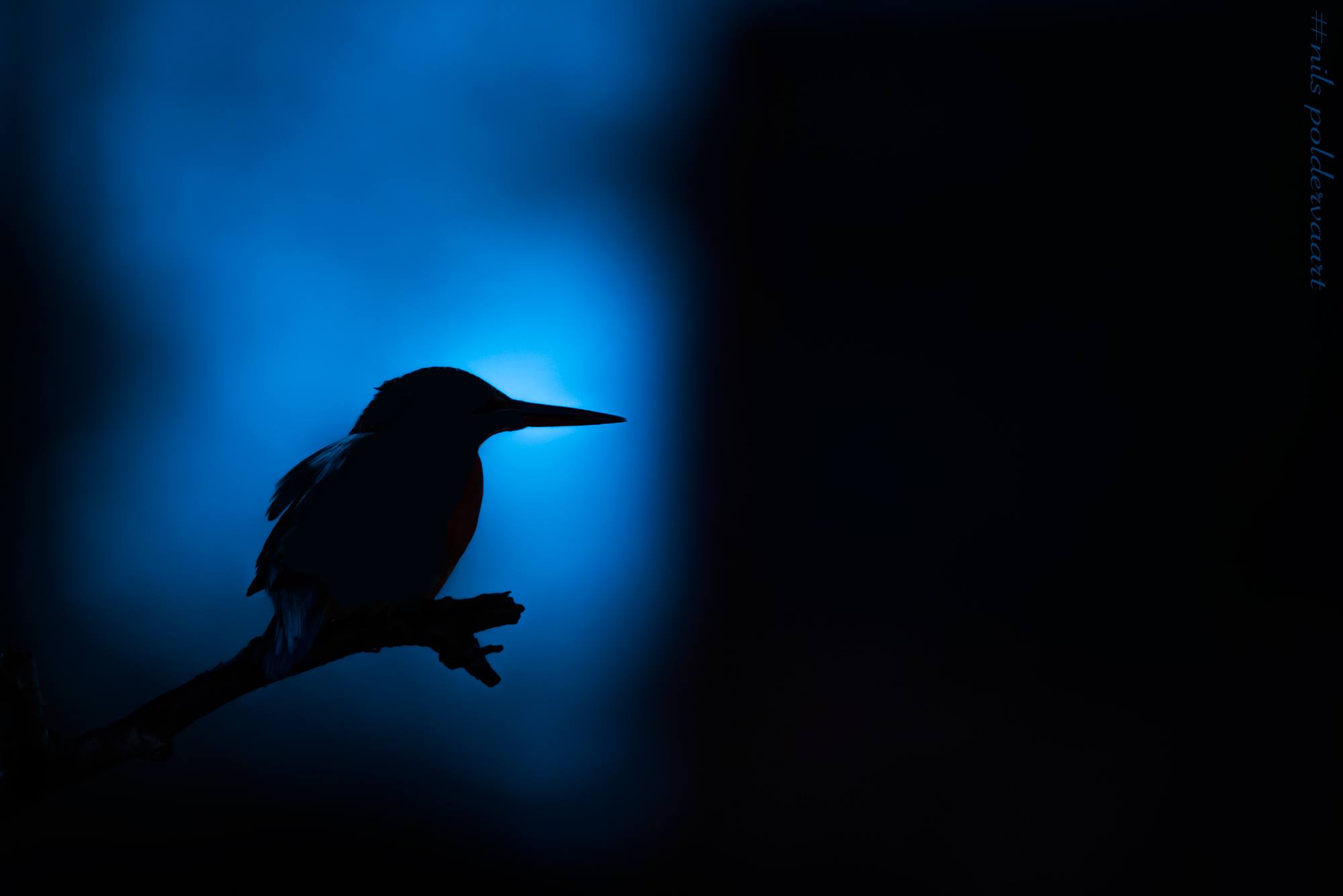 Blue...