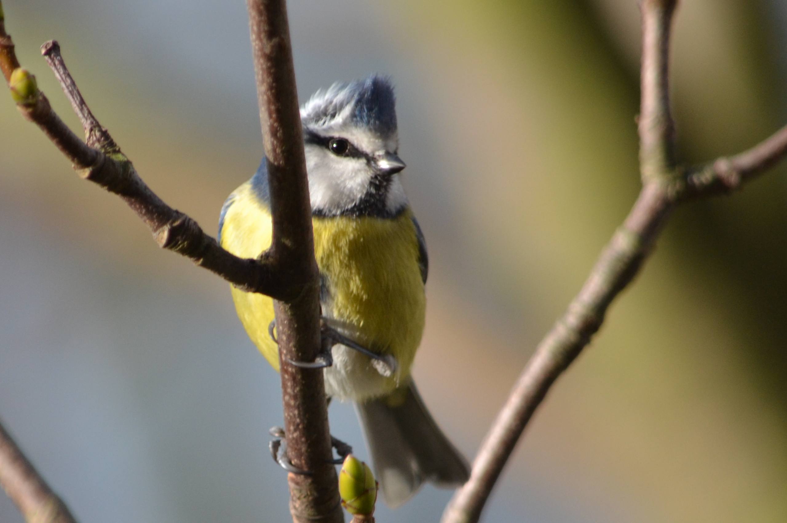 vandaag ben ik een stukje van streek...