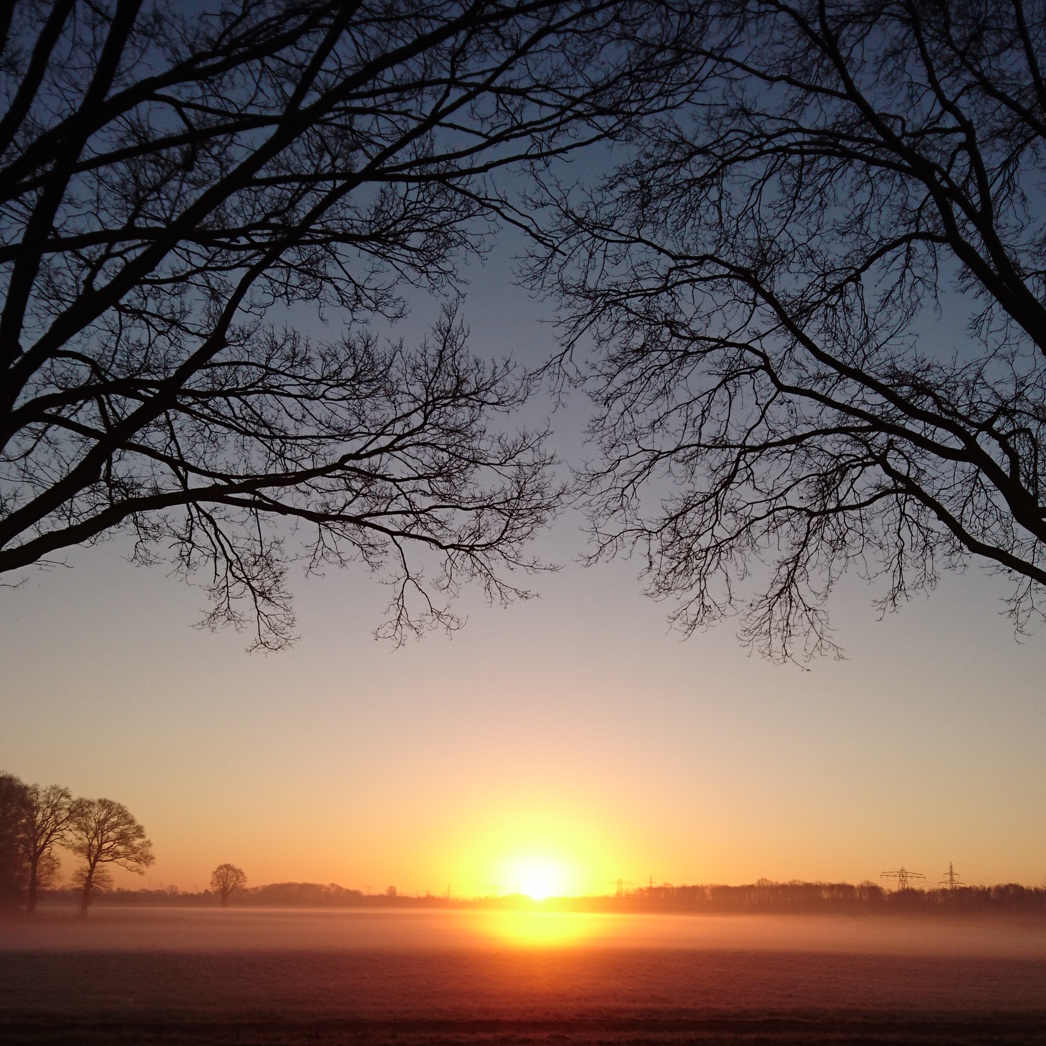 Misty morning