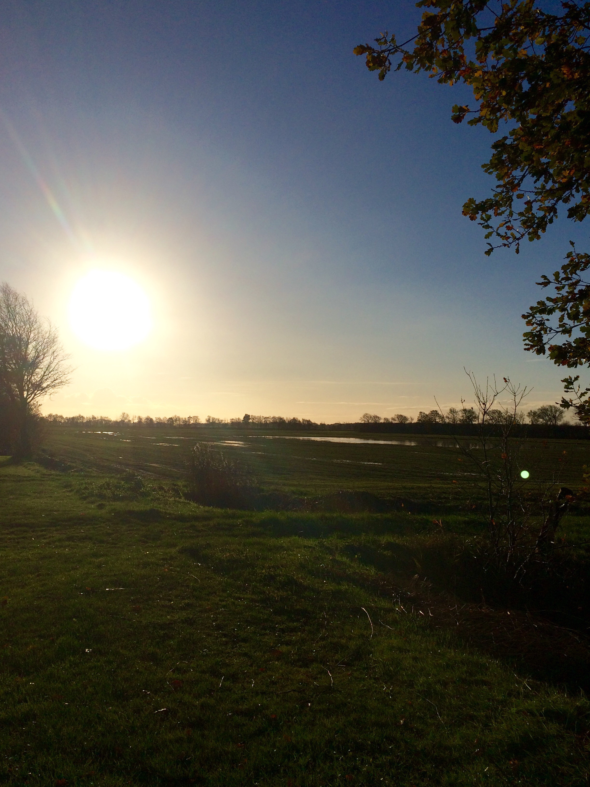 Zonen gloed op natte plassen