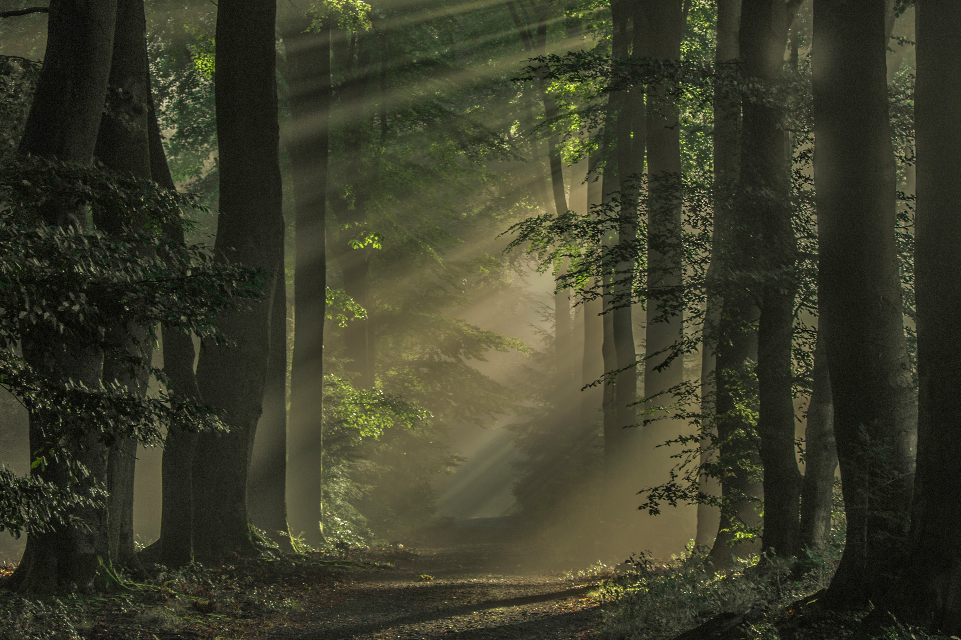 Mysterious way