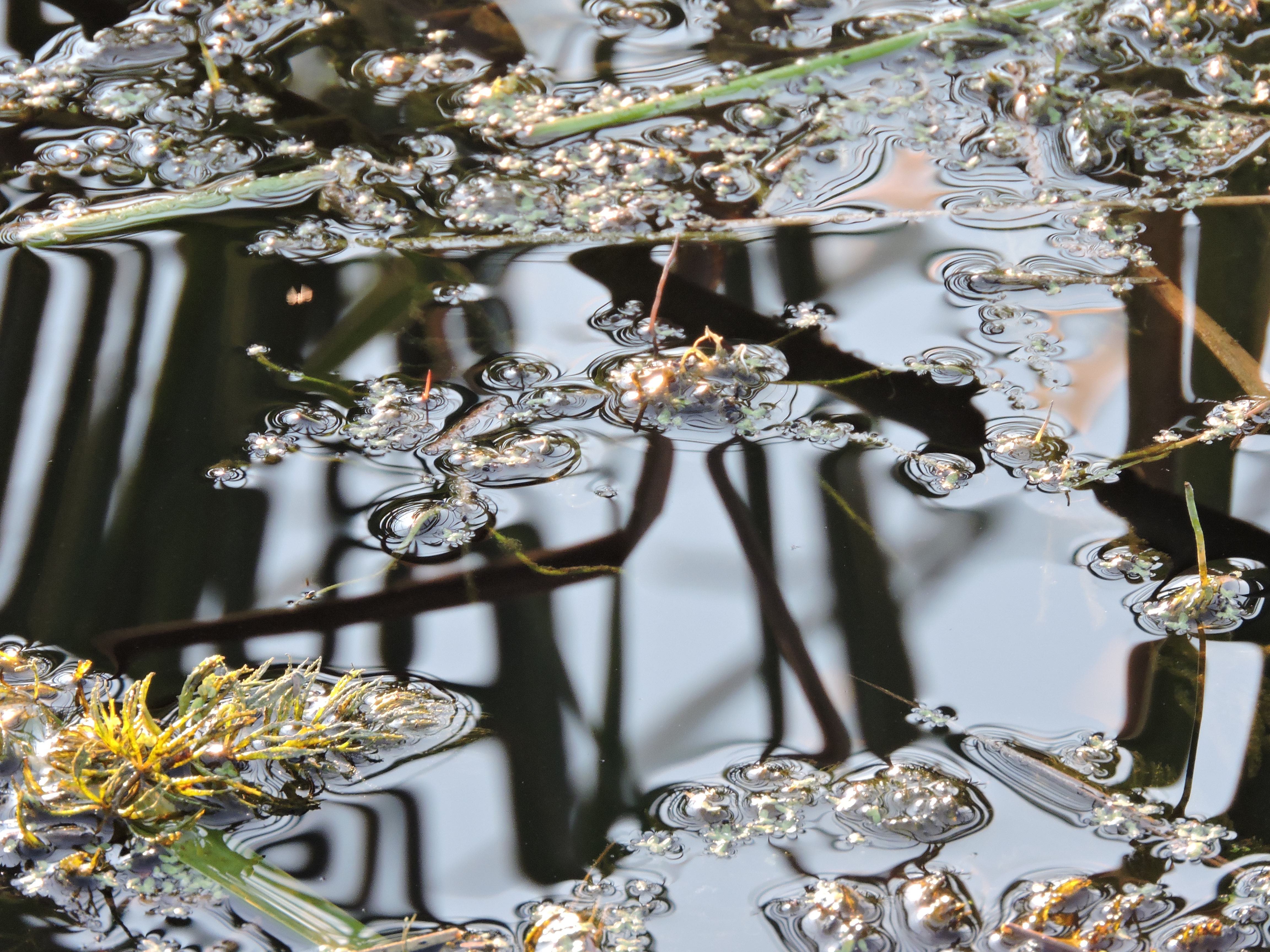 Waterscape.
