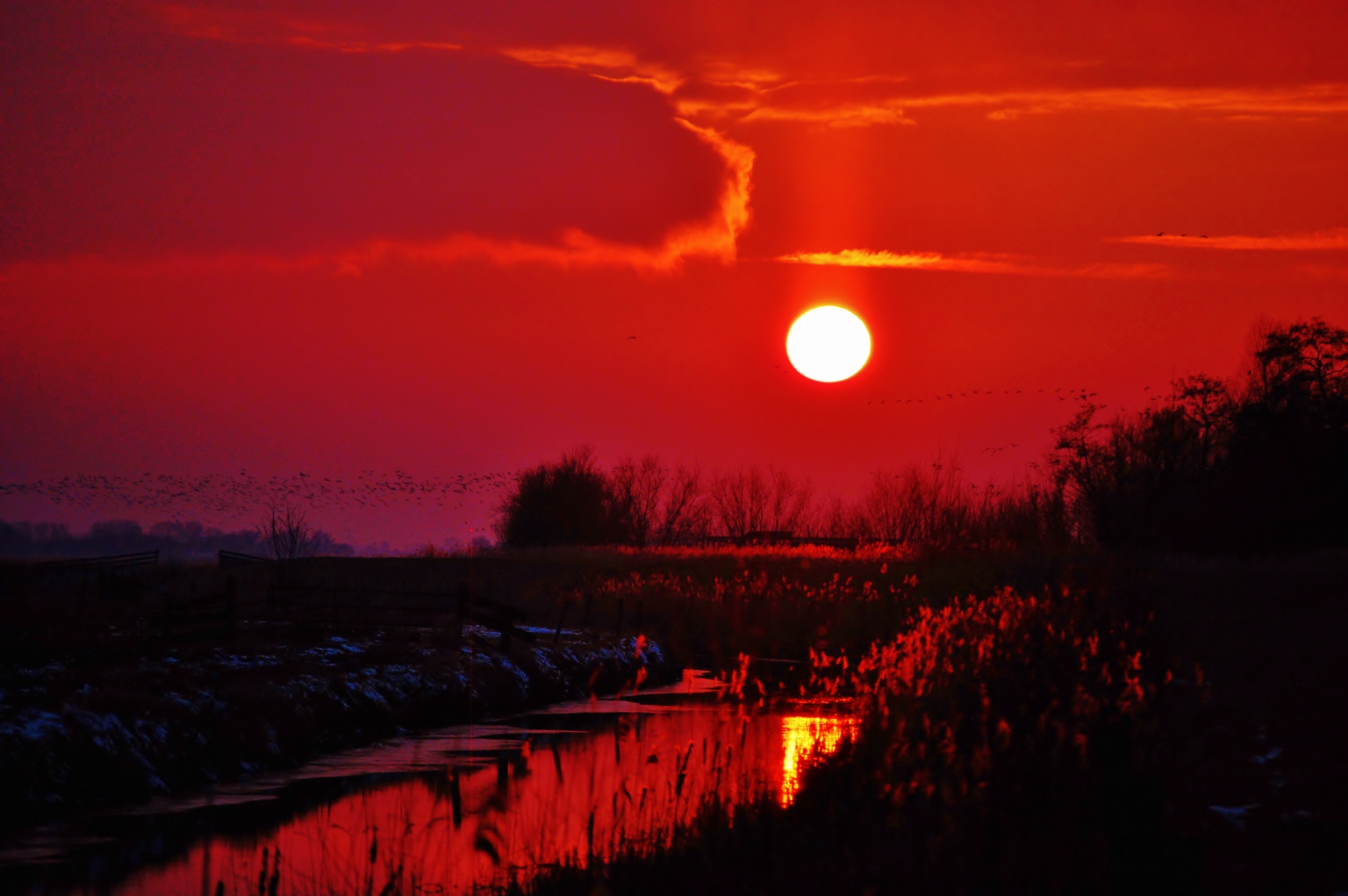 "Avondrood"