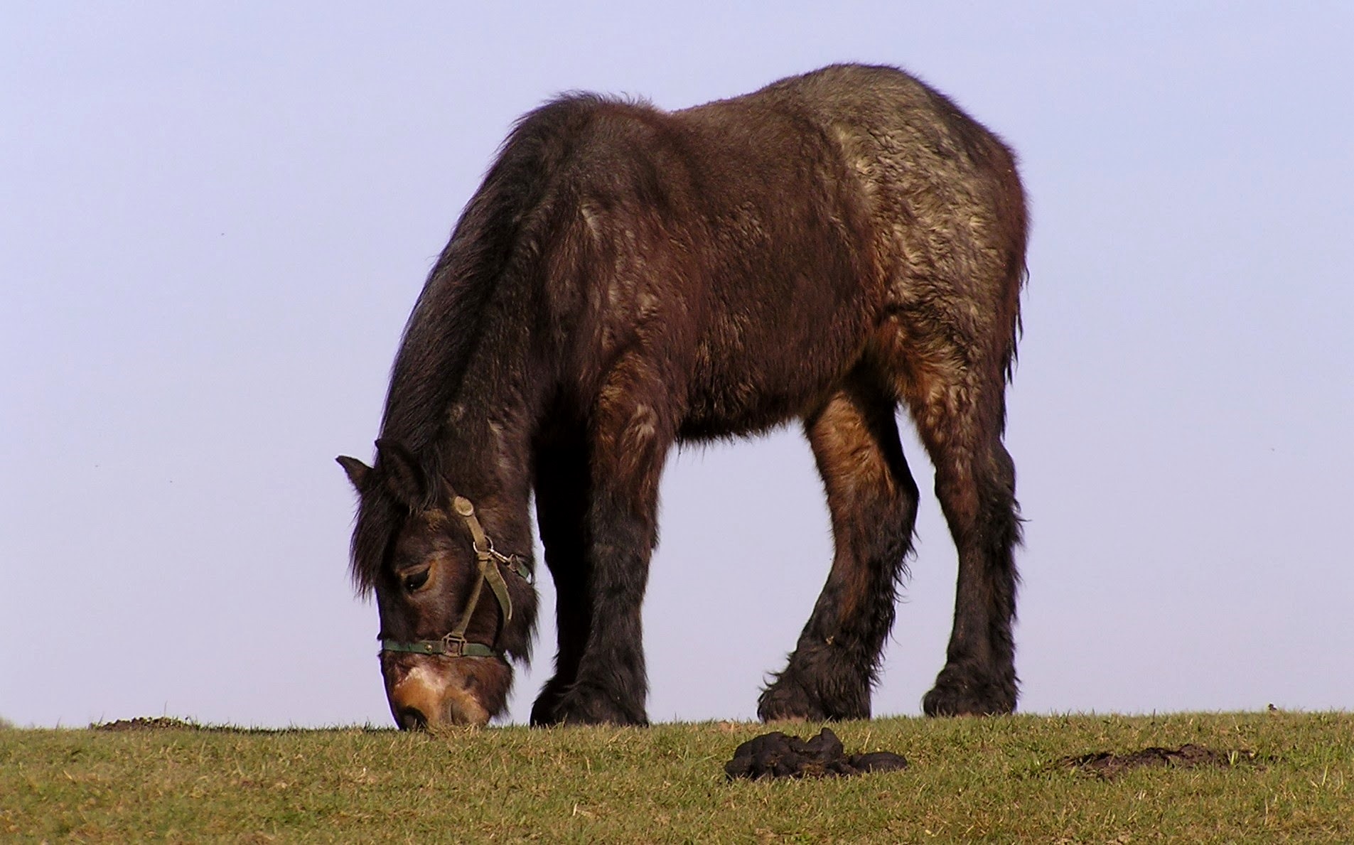 Niet meer nodig in de Landbouw