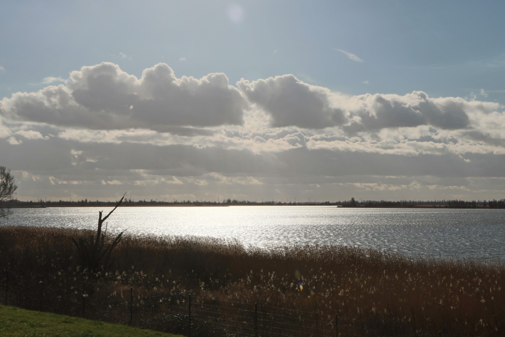 De..Oostvaardersplassen.