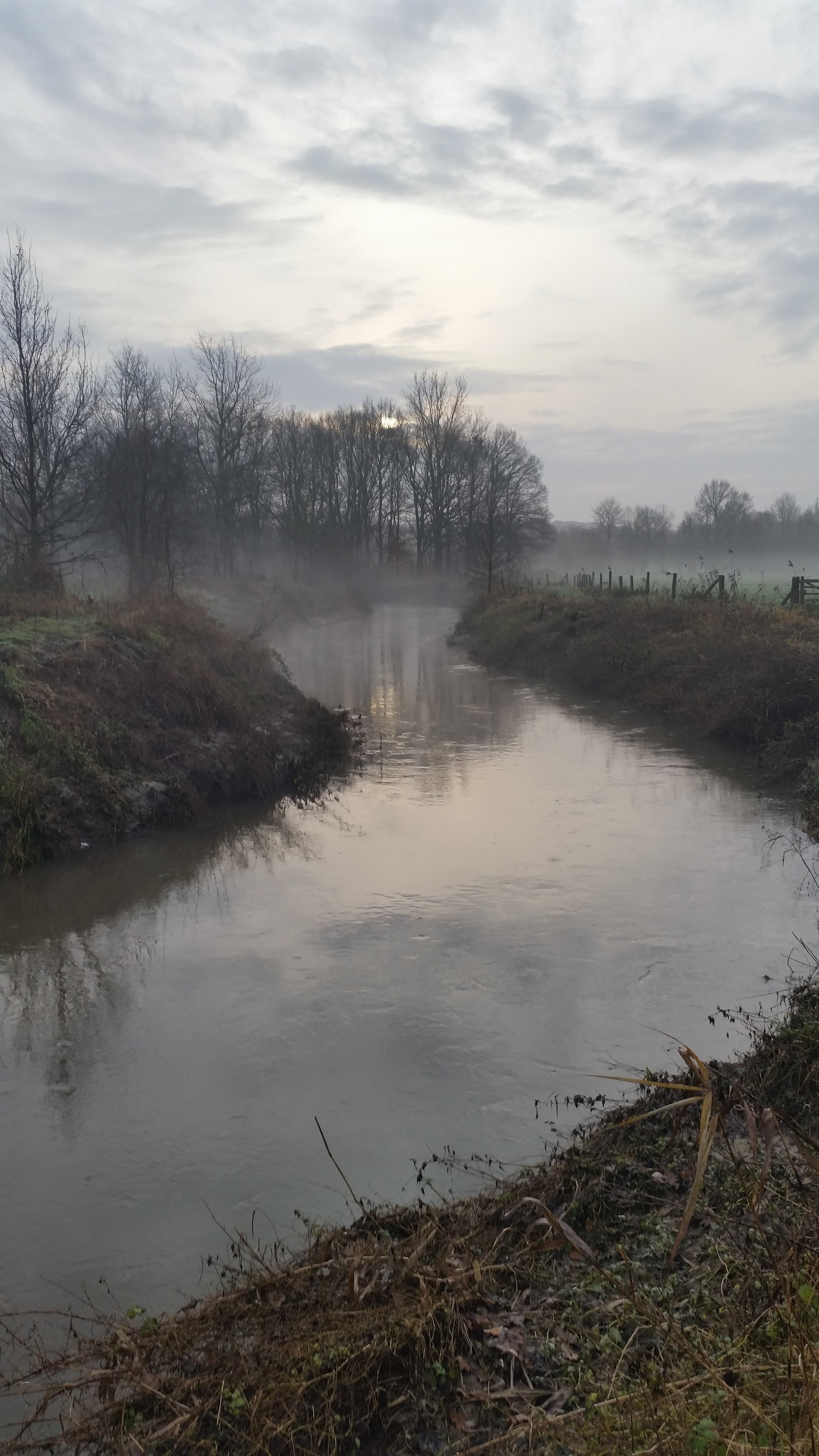 De Dijle in België