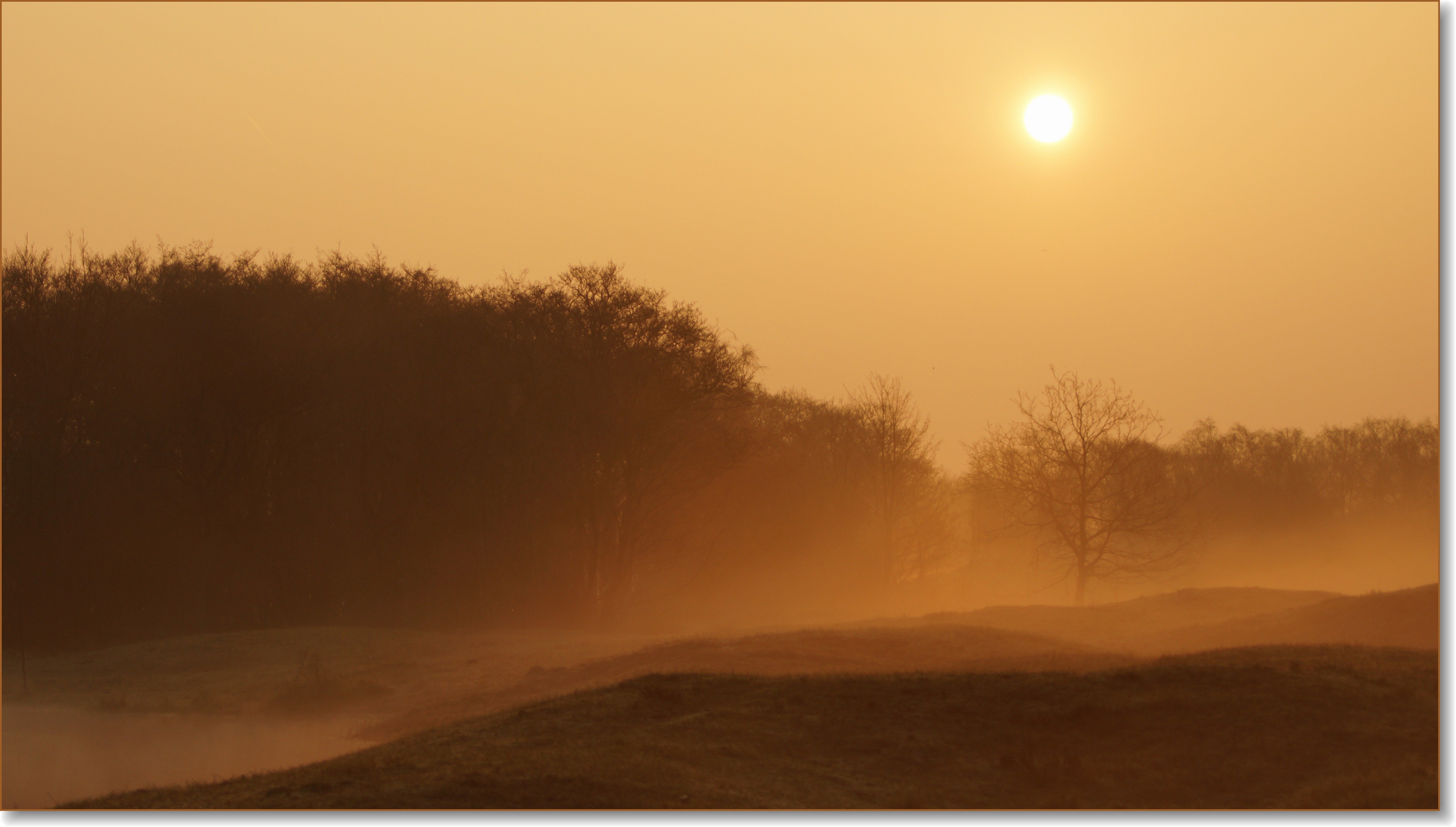 Duinen van...