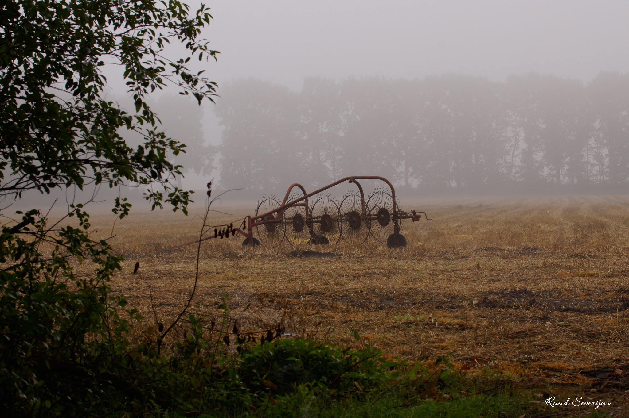 Rust roest