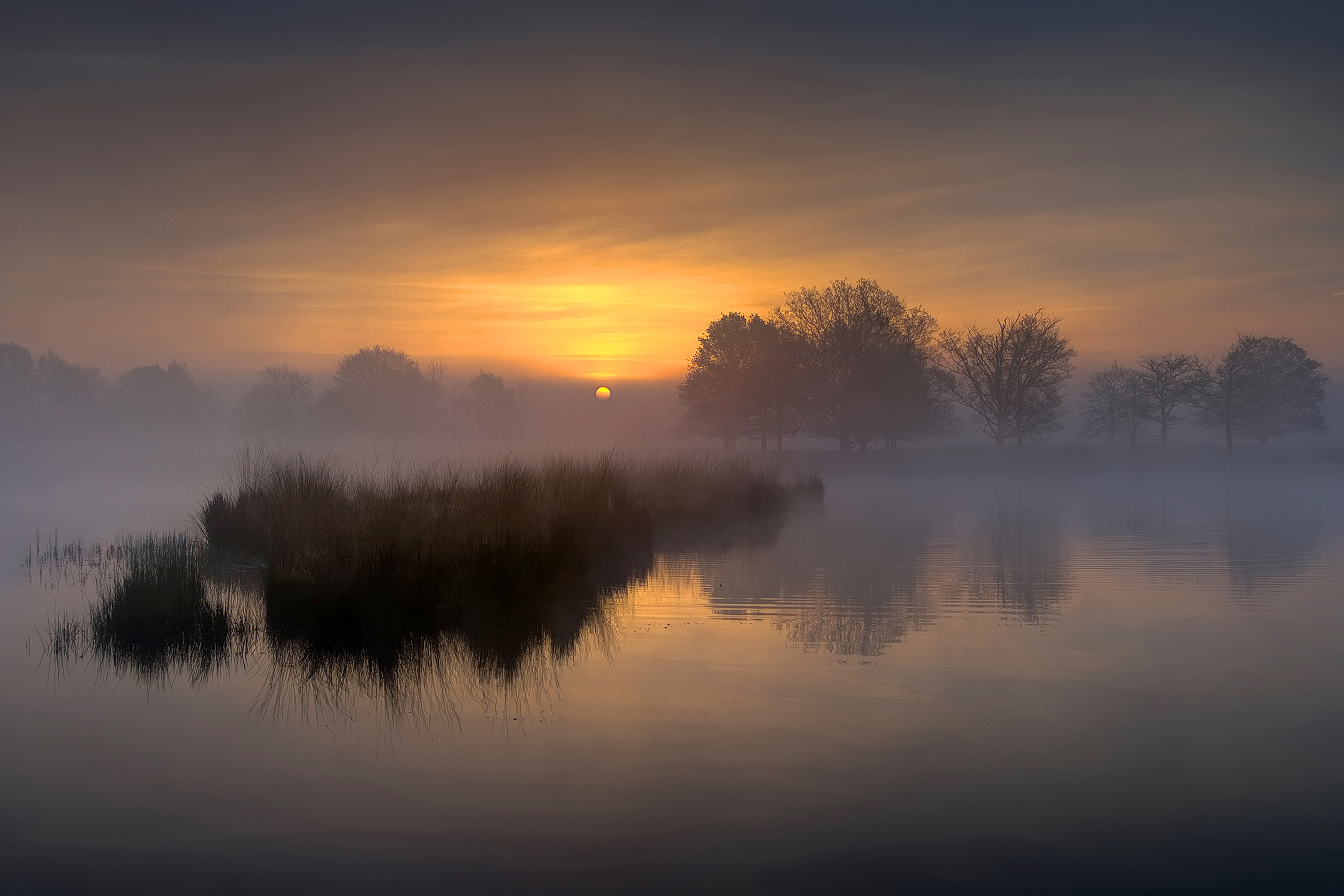 Misty Morning