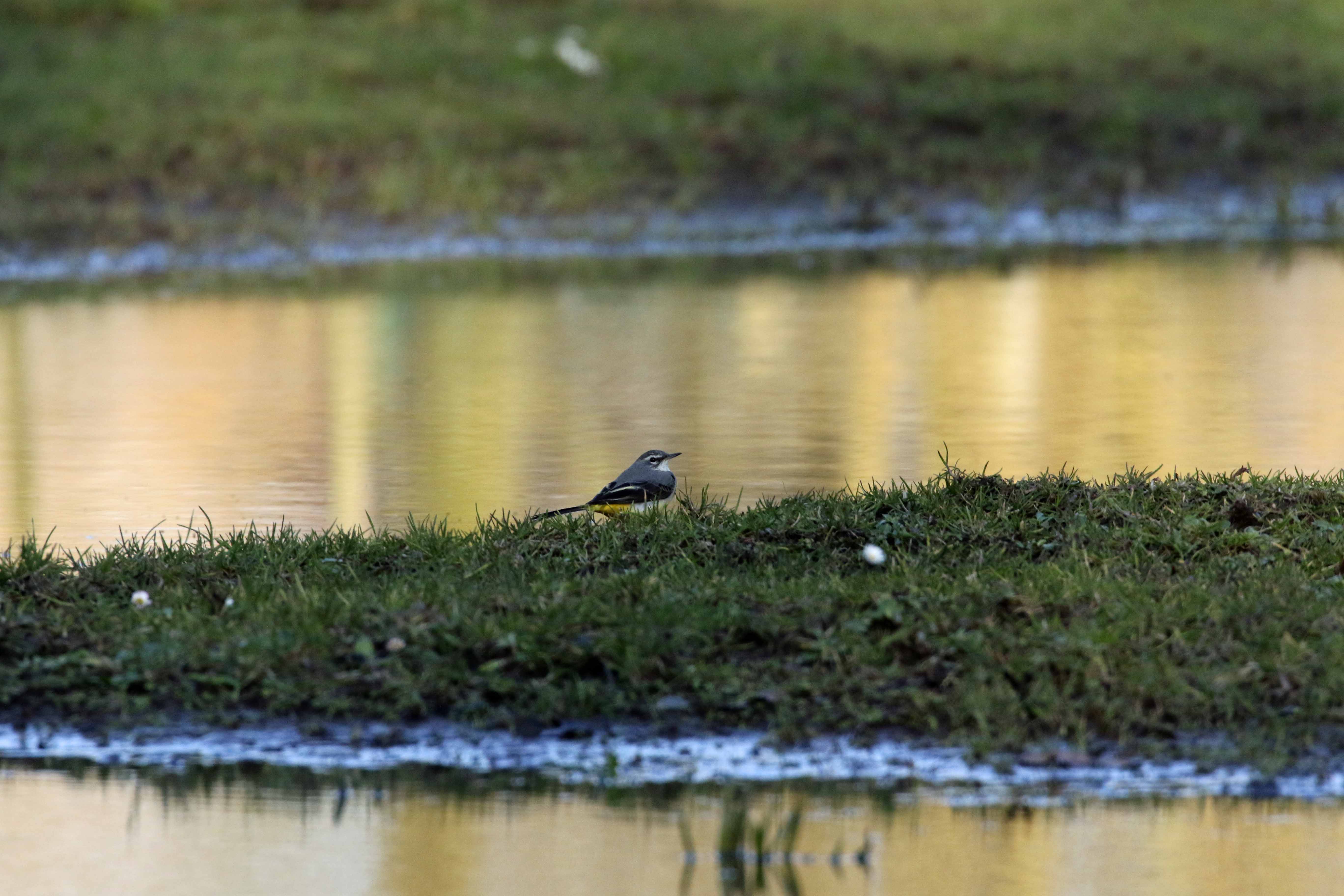 Hier voel ik mij thuis