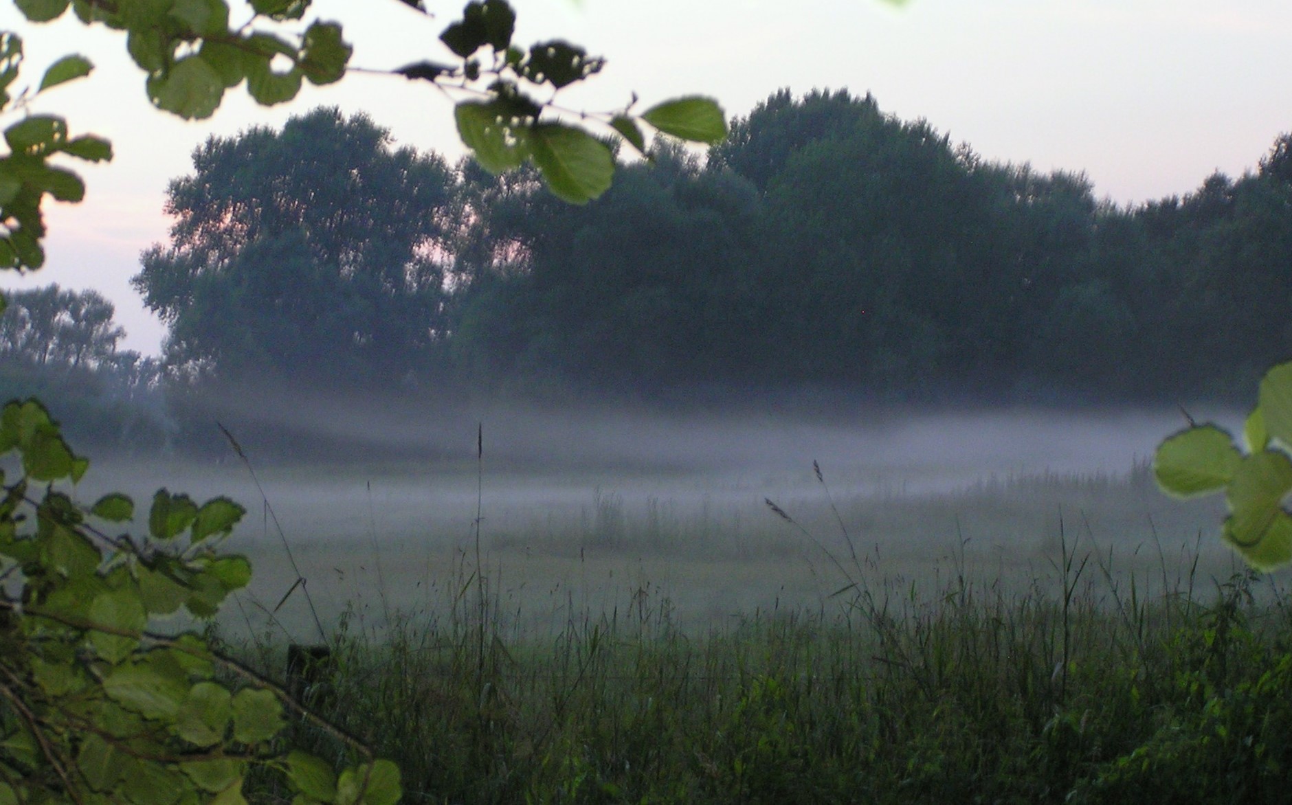 Doorkijk of juist niet?