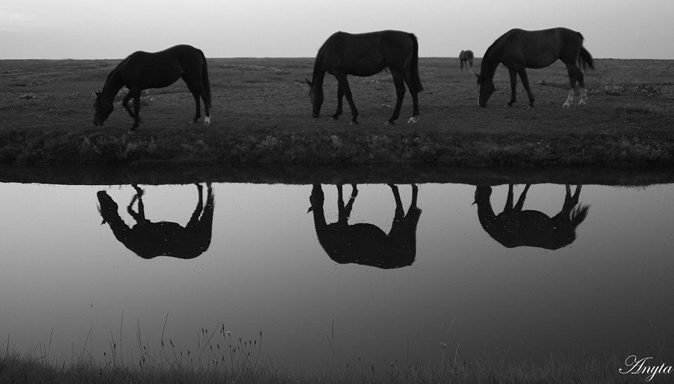 Spiegeltje aan de wand