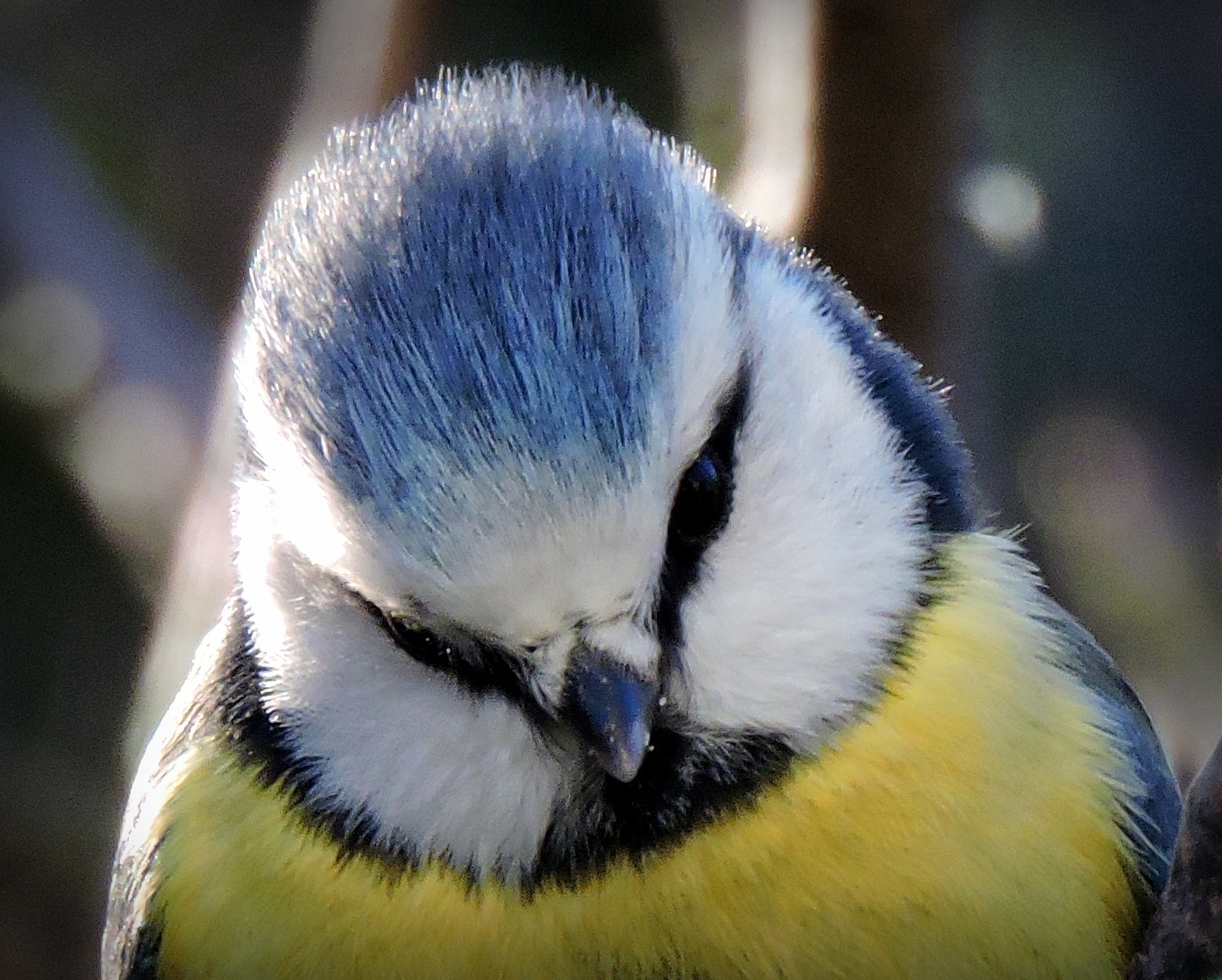 Kijk mijn blauwe mutsje!
