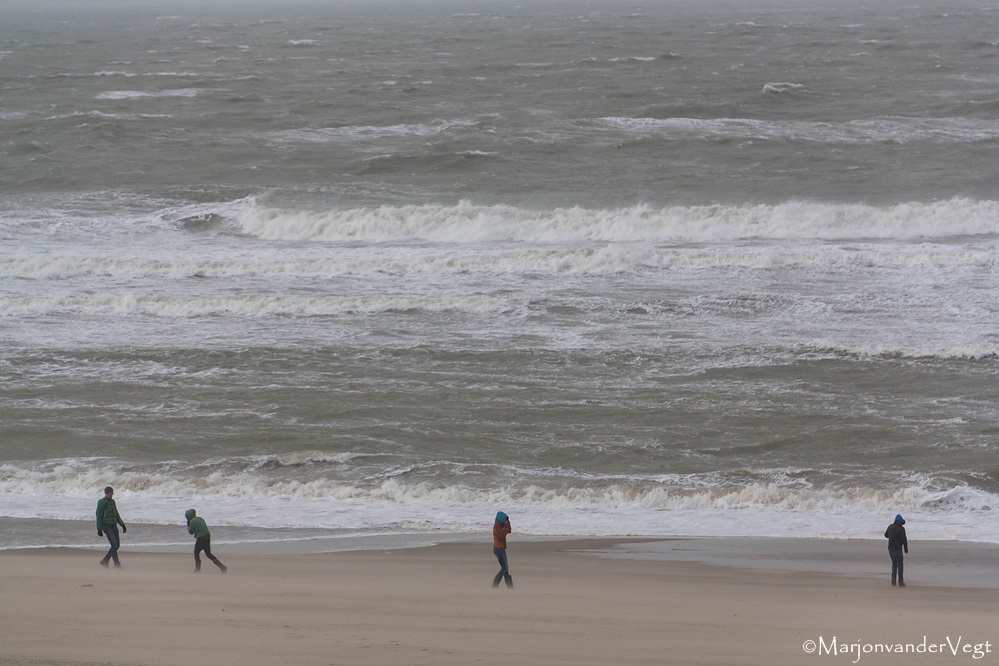 Storm aan de kust