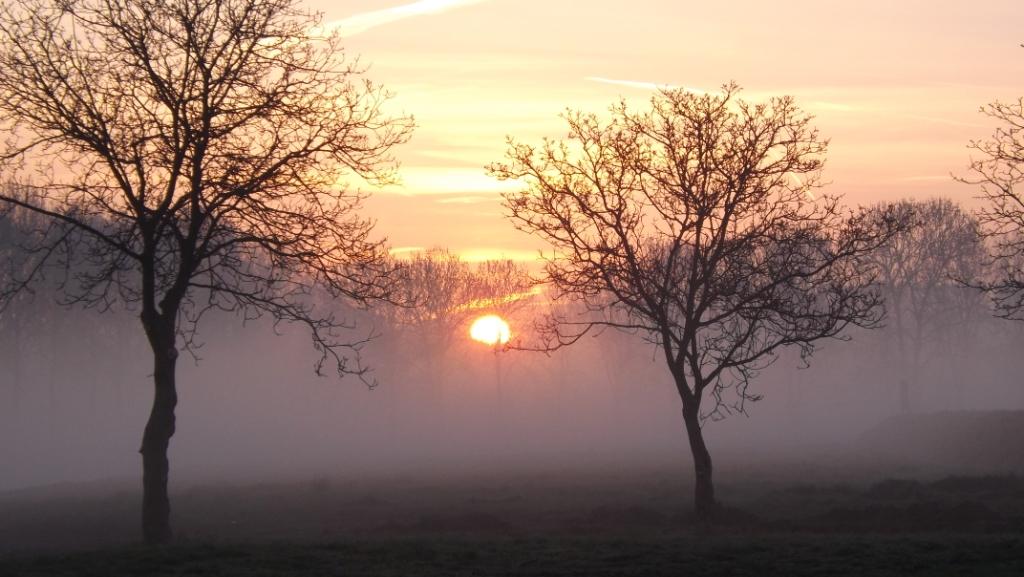 Mistige zonsopkomst