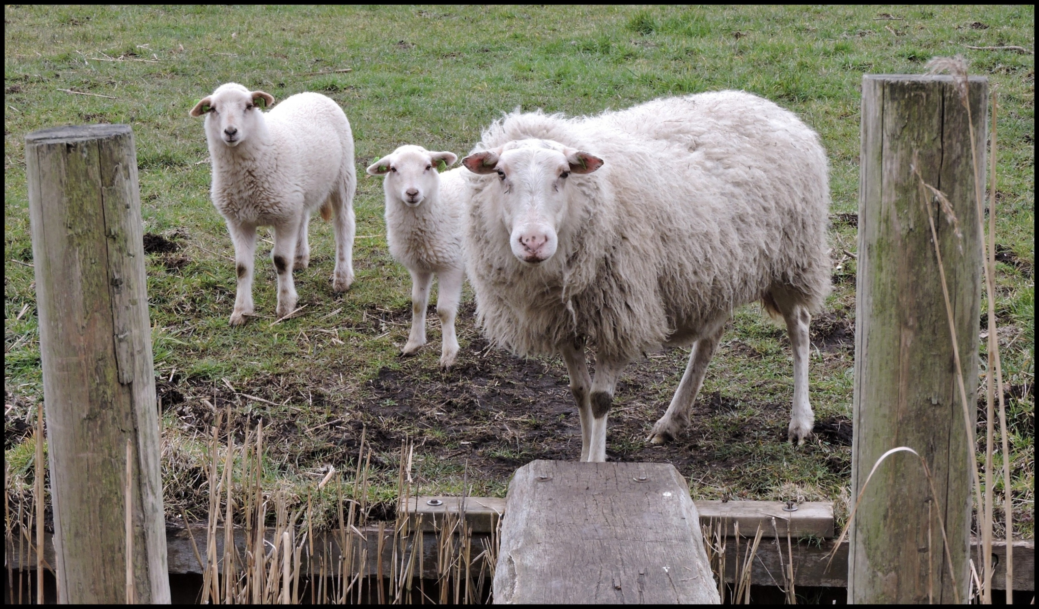 Mama, wat doet die mevrouw?!