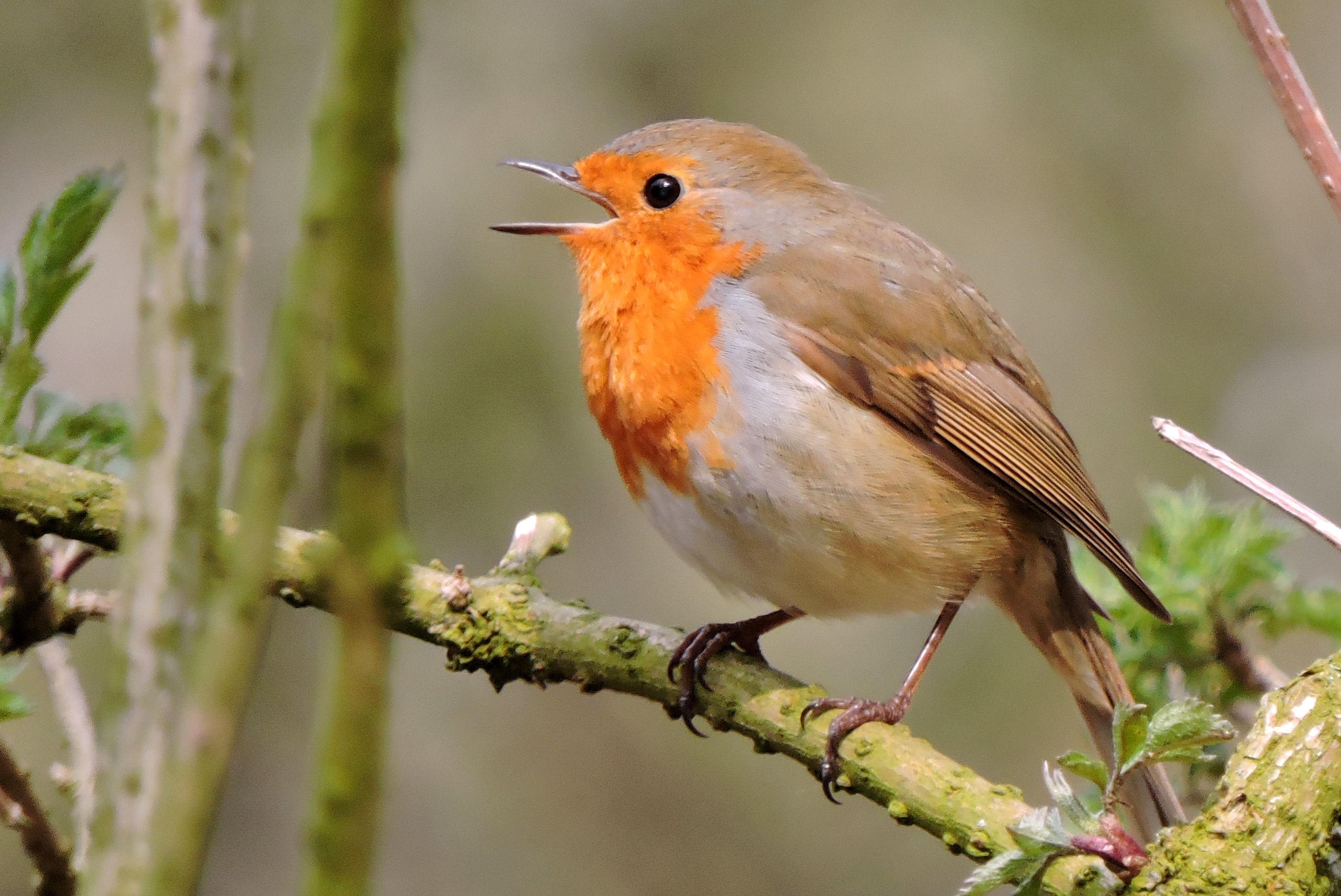 Vrolijk het weekend in