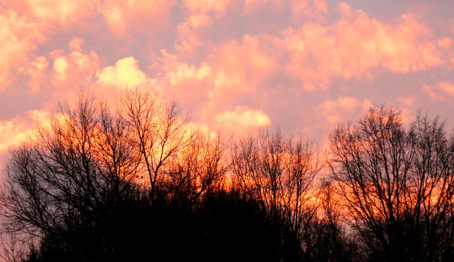 Avondrood.2