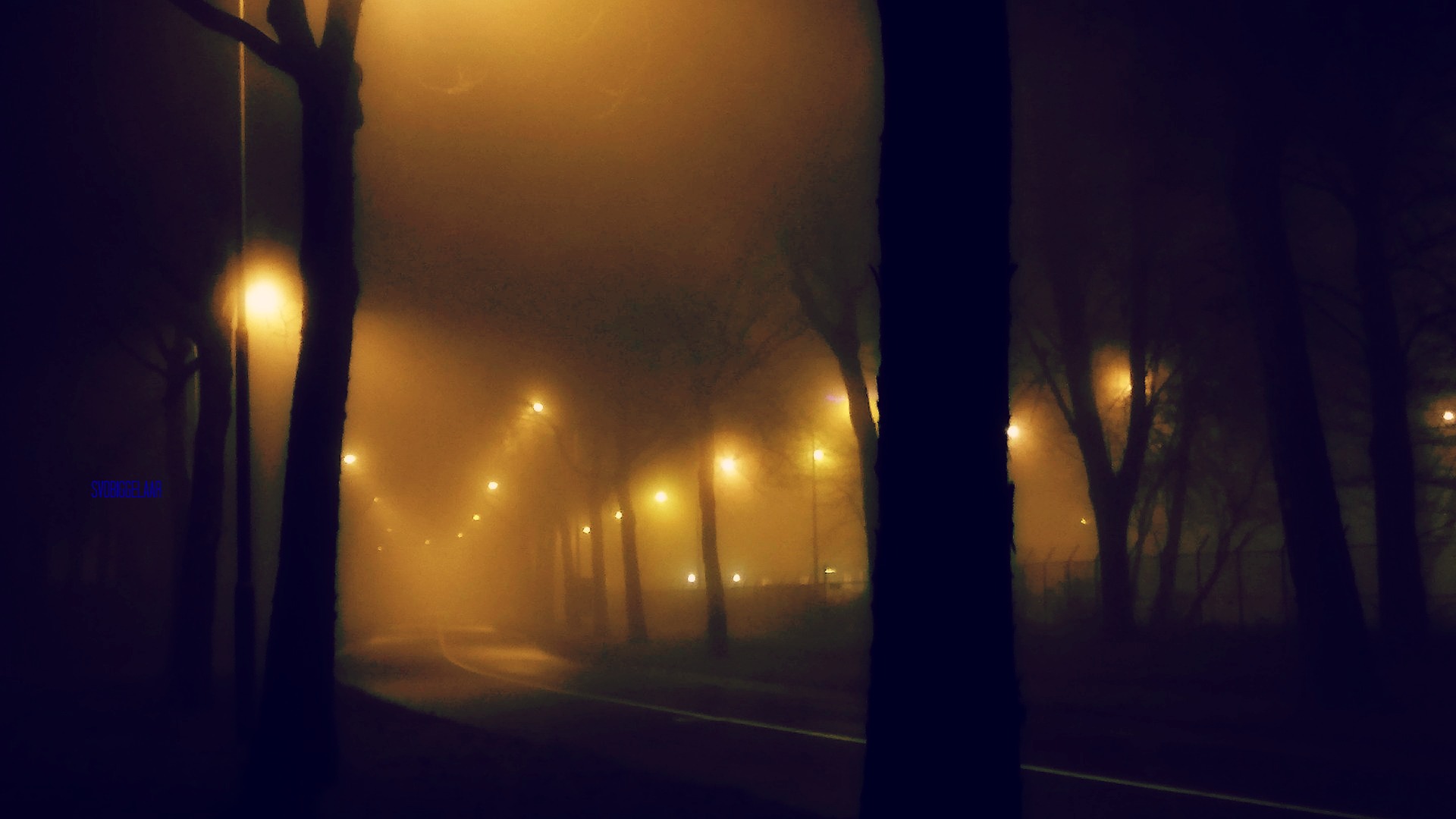 Wandeling na middernacht in de mist