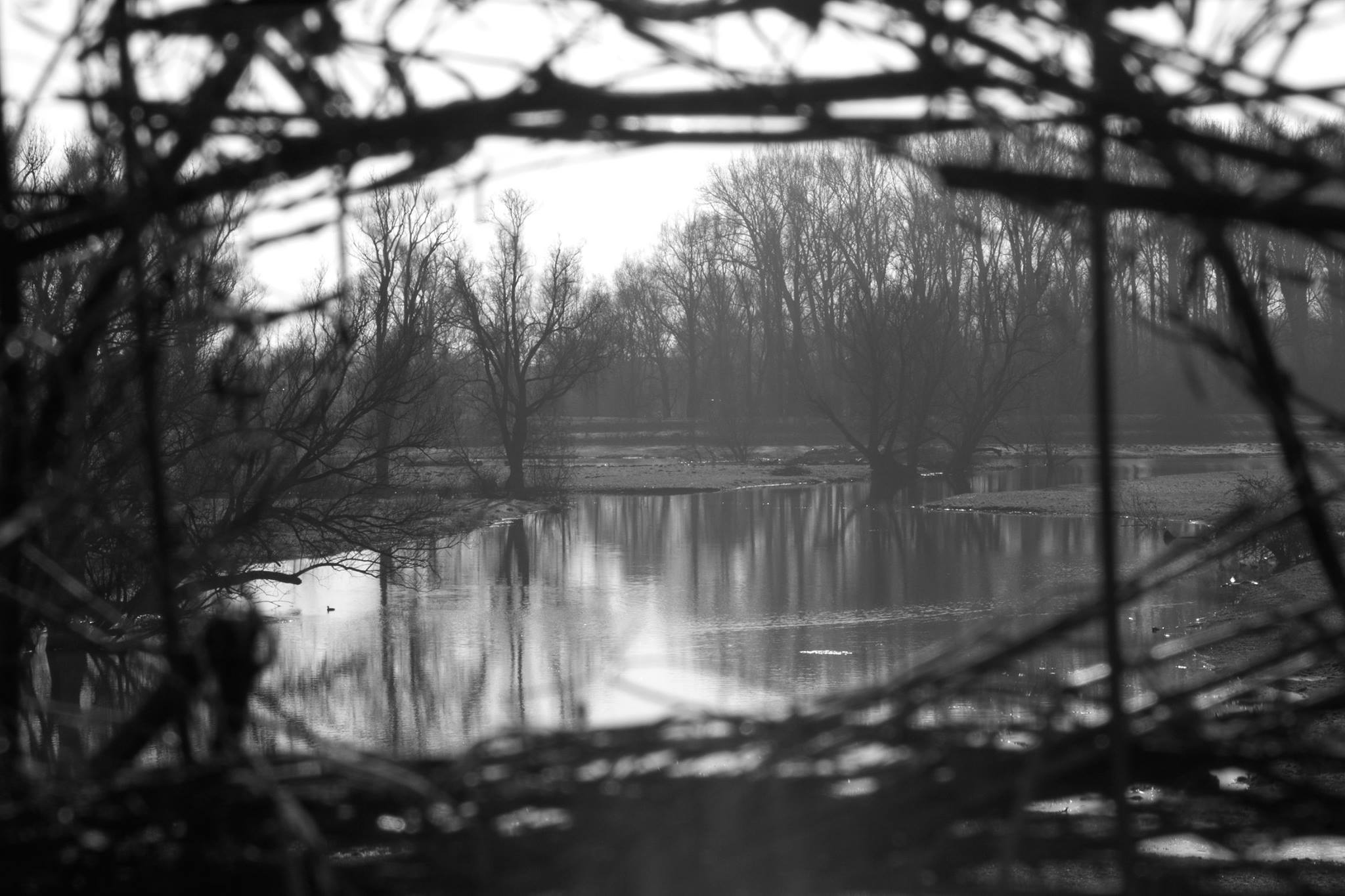Doorkijkje in de Ooijpolder 3