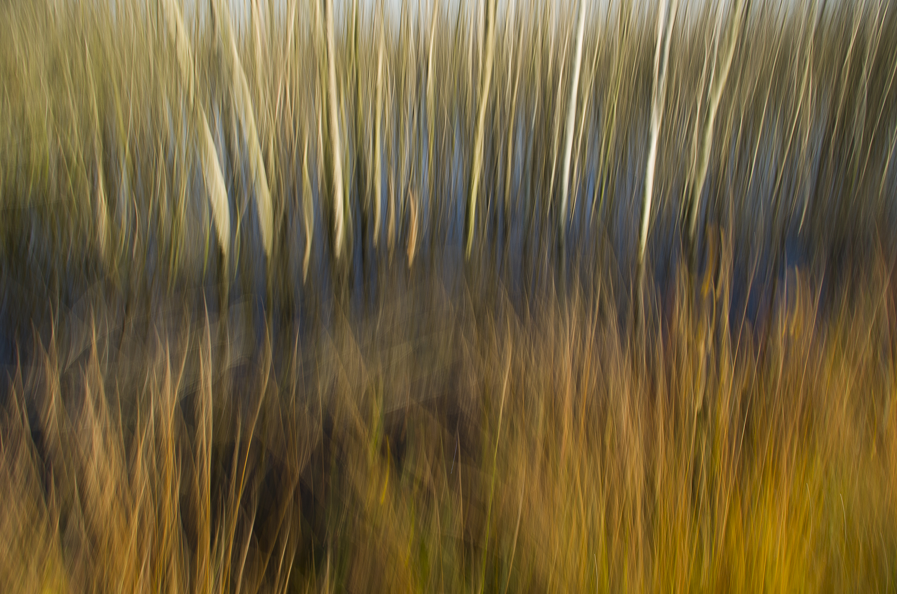 Schuilen kan nog wel....