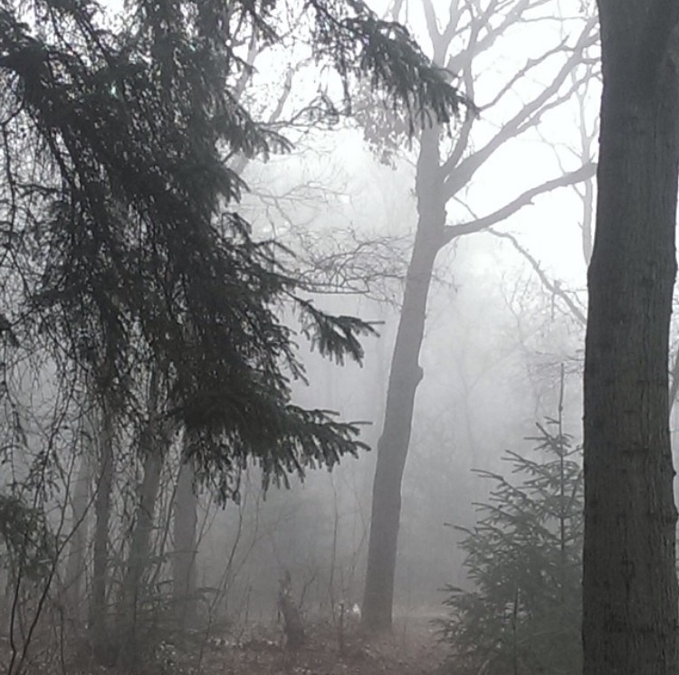 In de mist 