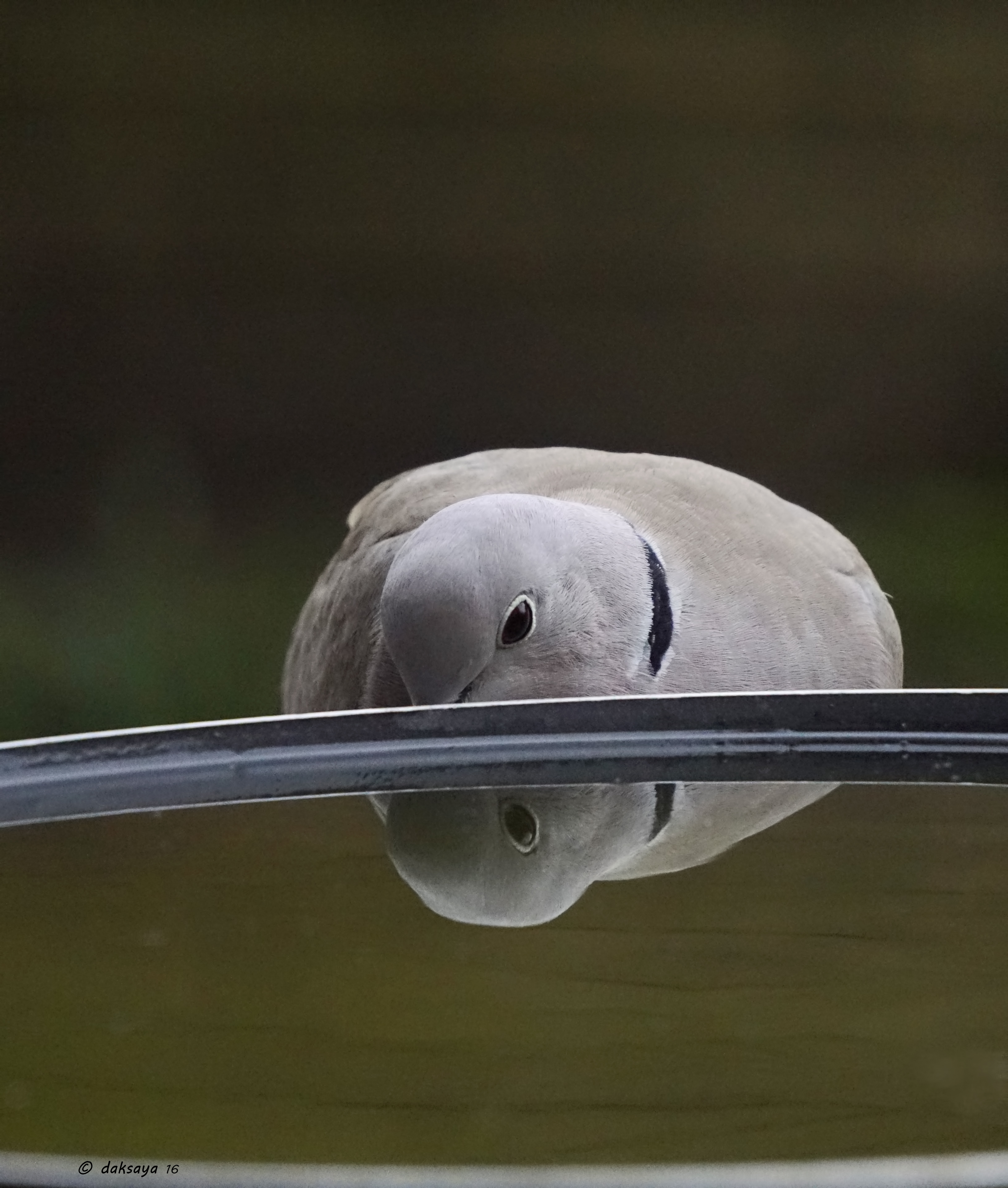 Looking with one eye?