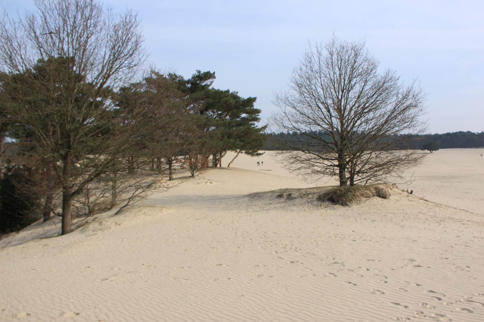 Lange Duinen