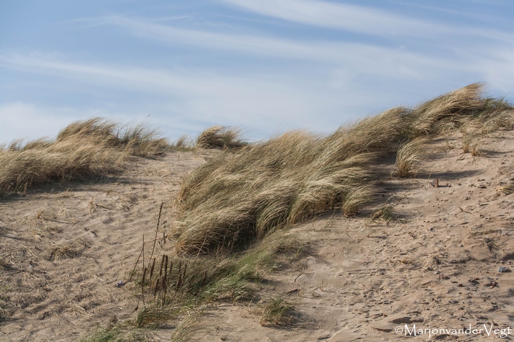Storm aan de kust