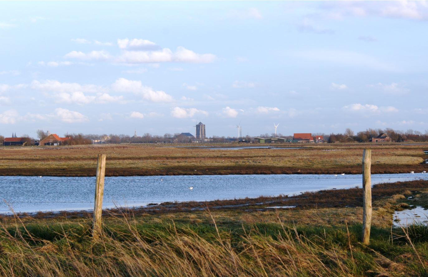 polder bij Zierikzee