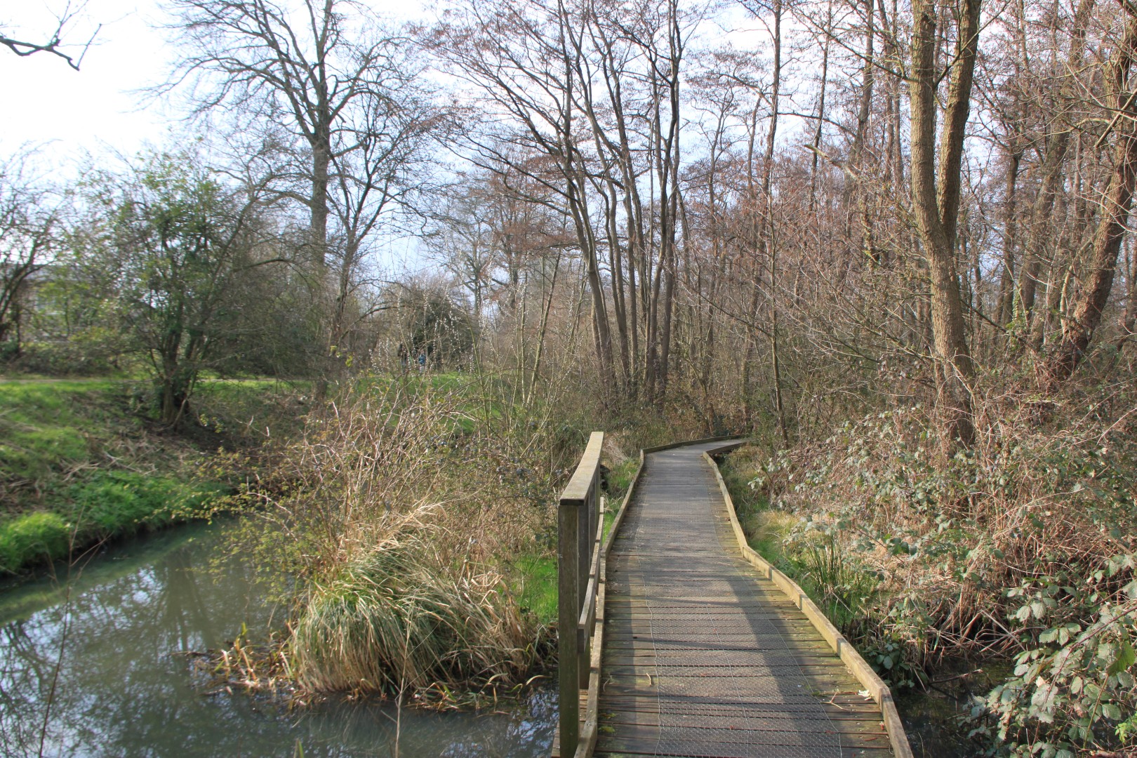 Moerasje met bruggetje