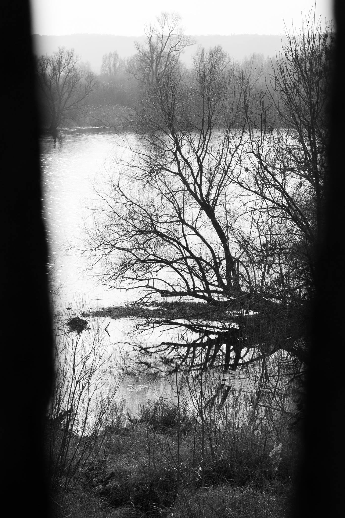 Doorkijkje in de Ooijpolder 5