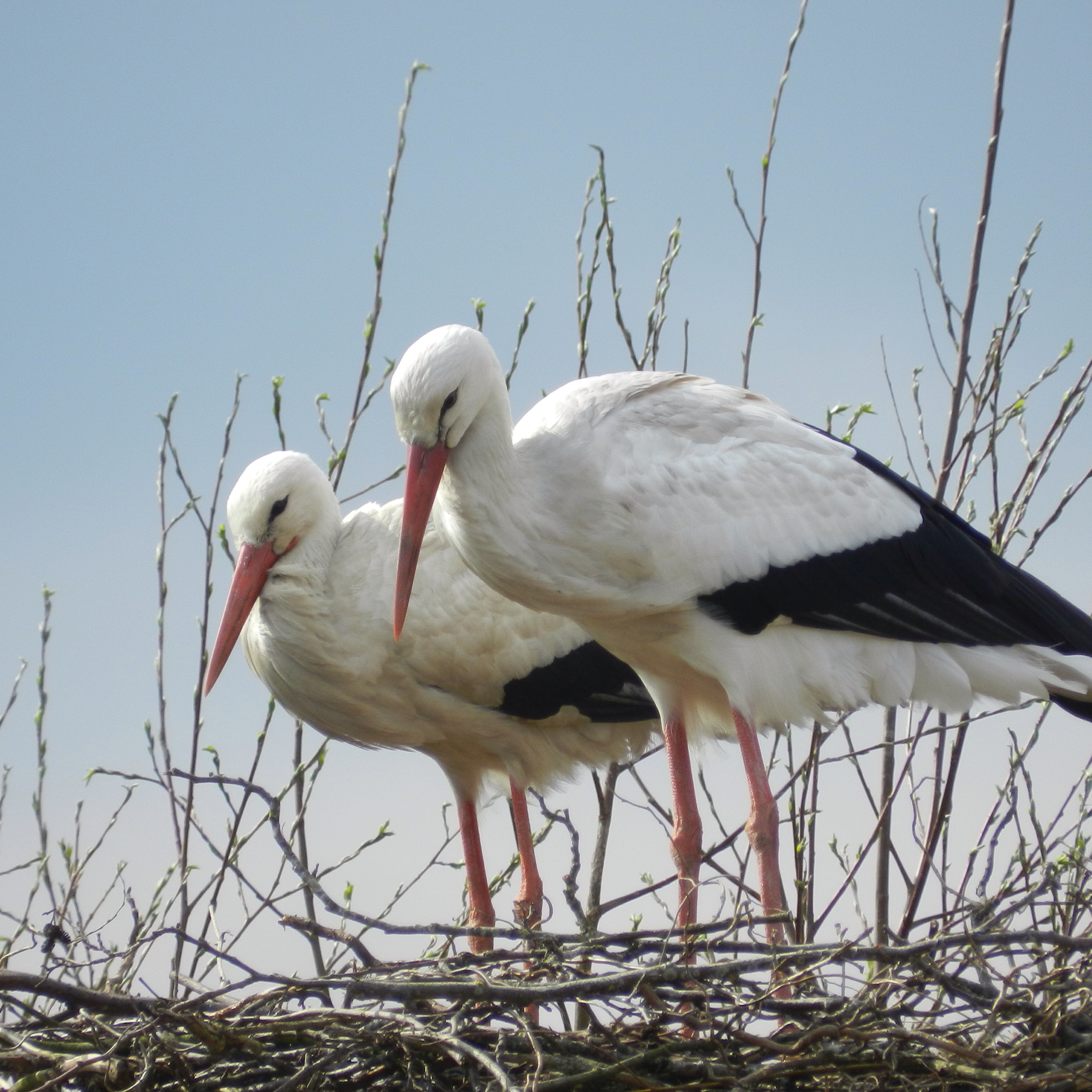 Wij zijn er klaar voor