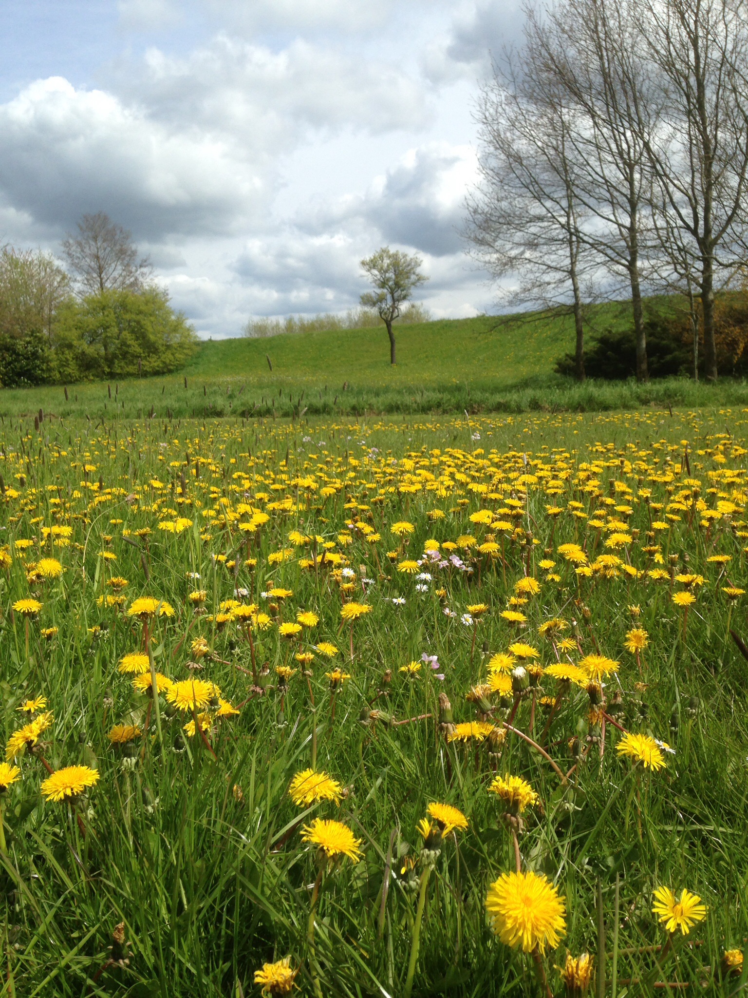 Lente aan de IJssel 