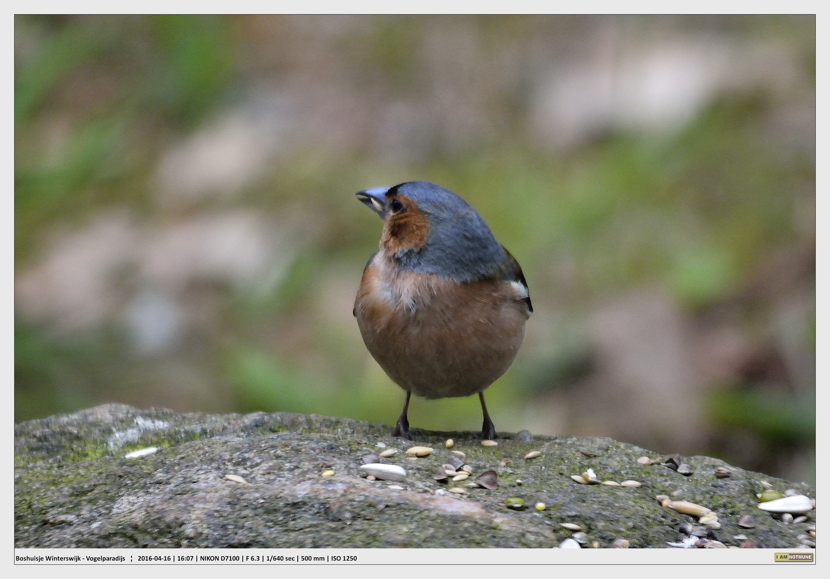 Vink....