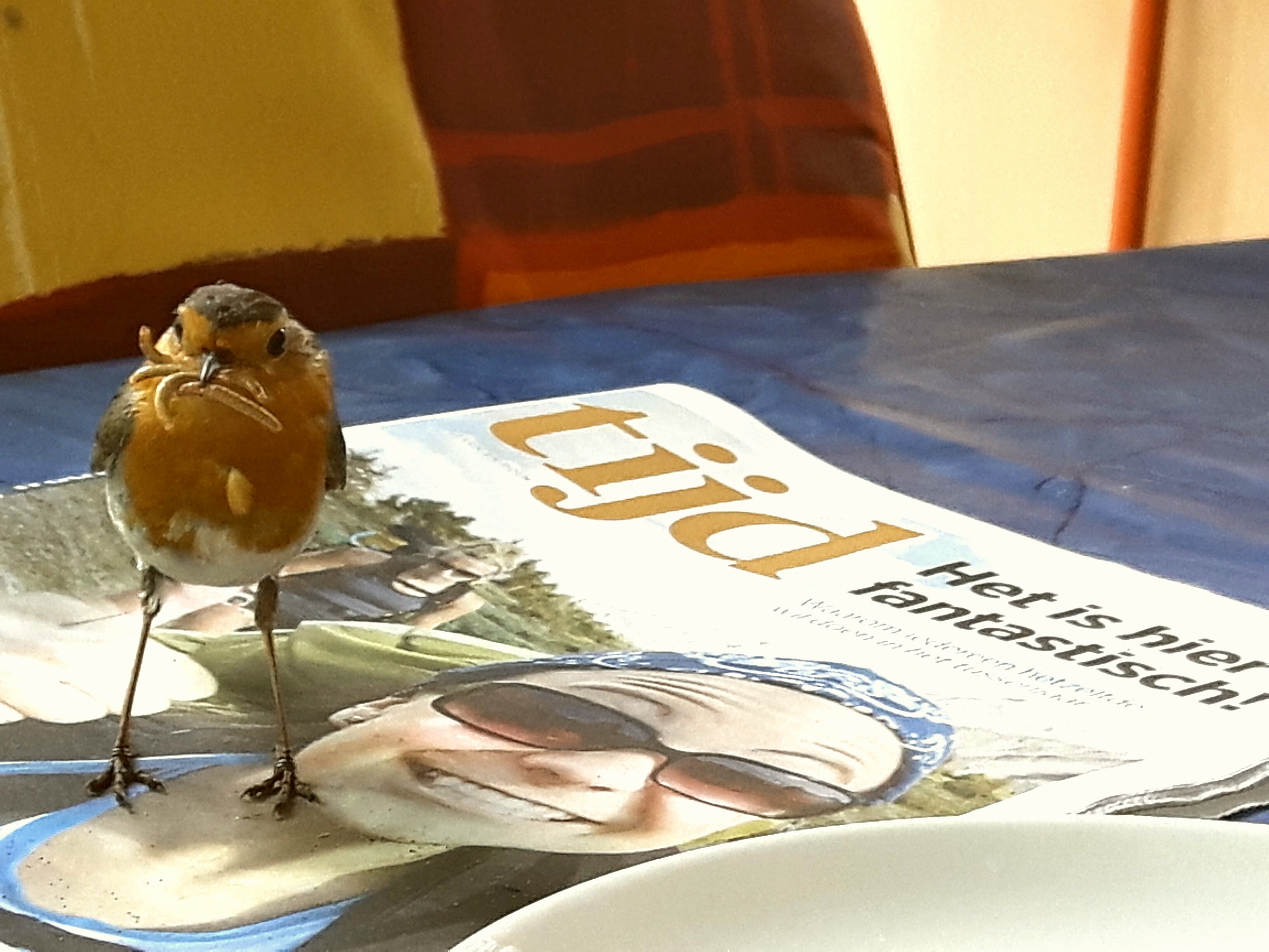 Het is hier . . . . .