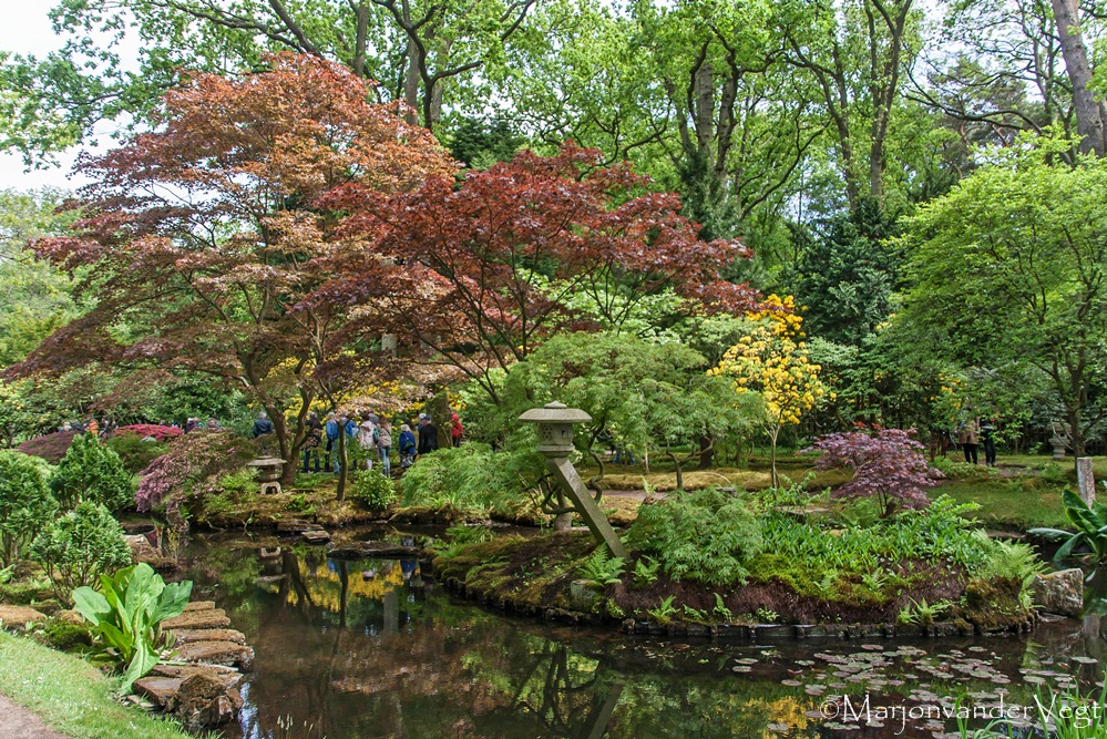 Japanse tuin