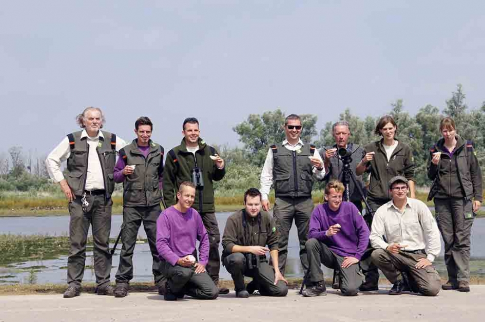een kudde boswachters - Vogels - visarend
