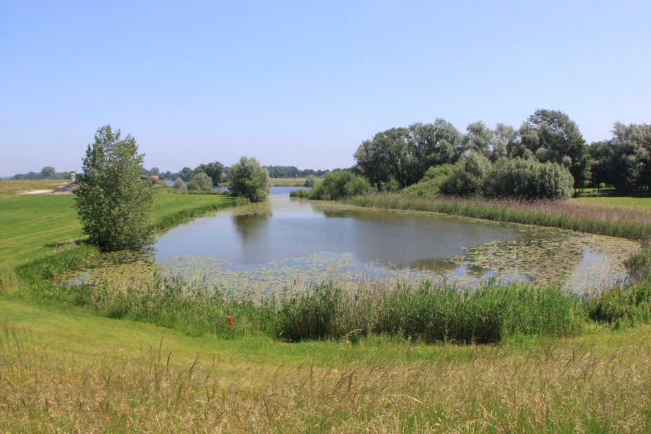 Kolk - Weer en landschap - 