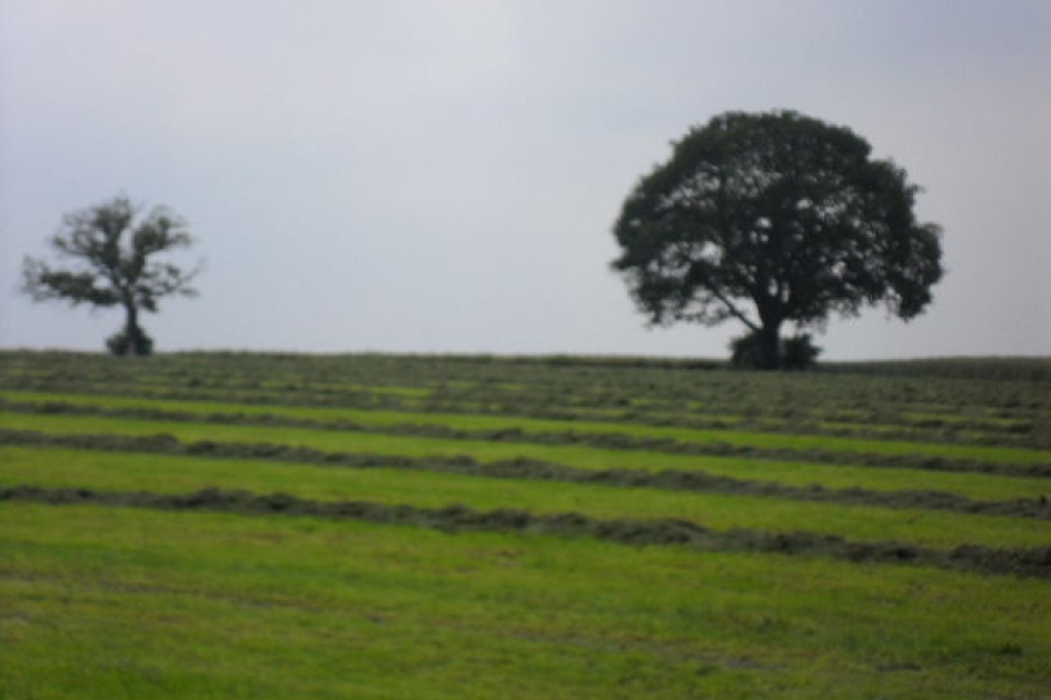 Lanndschap - Weer en landschap - 