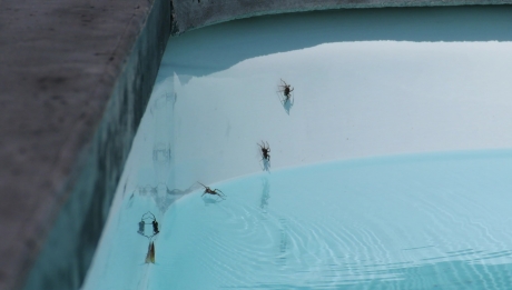 Spin zoekt het water op