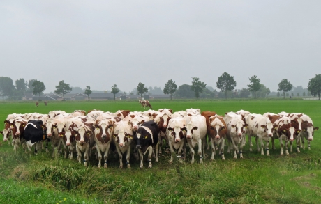 Wanneer stopt die regen?