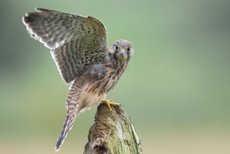 What are you looking at