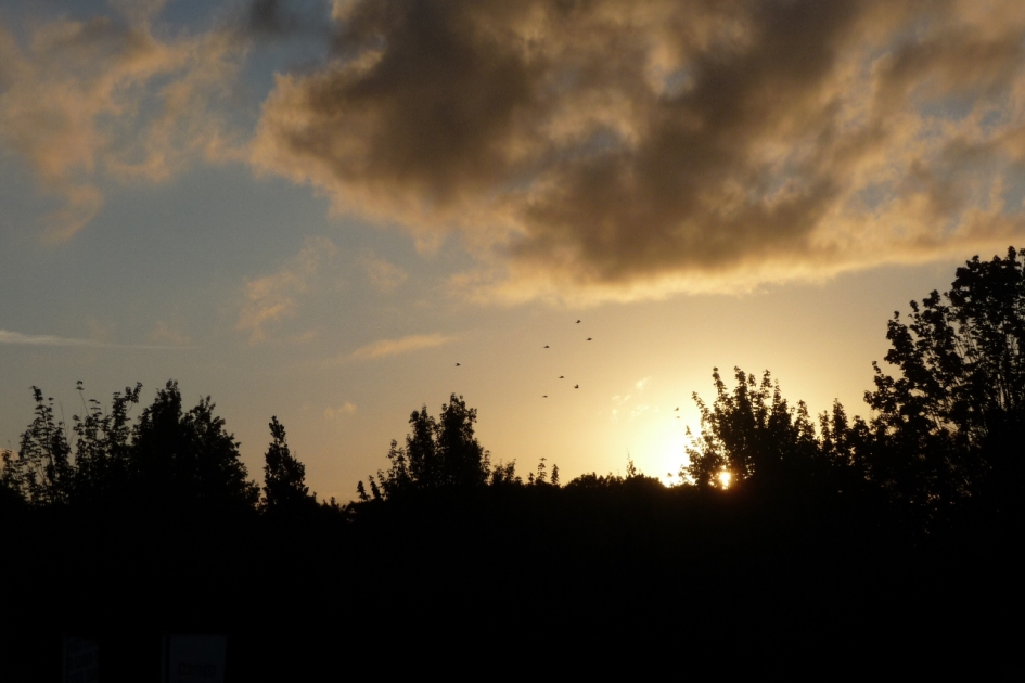 6:00 uur - Weer en landschap - 